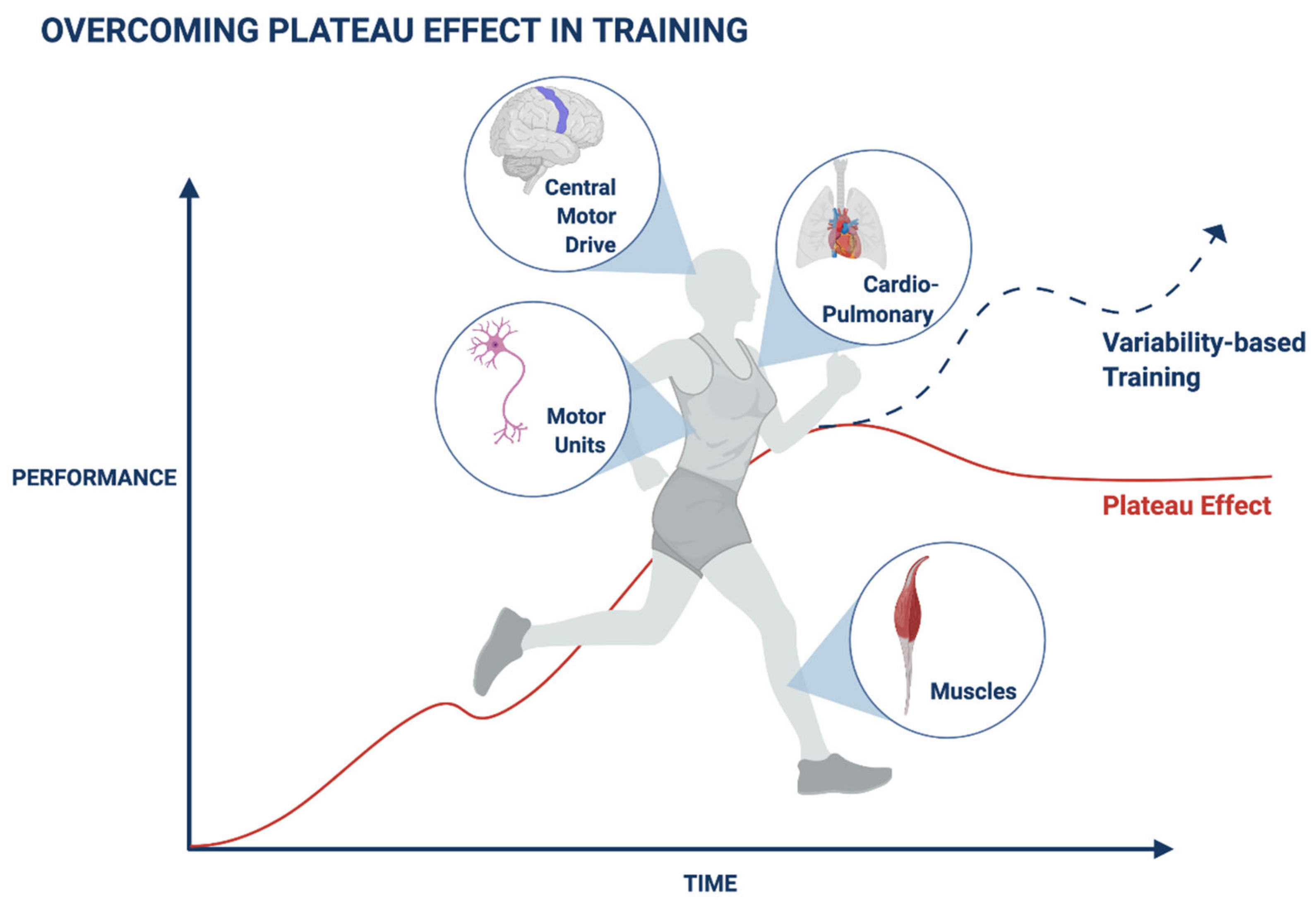 Overcoming Plateaus in Quad Strength And Size