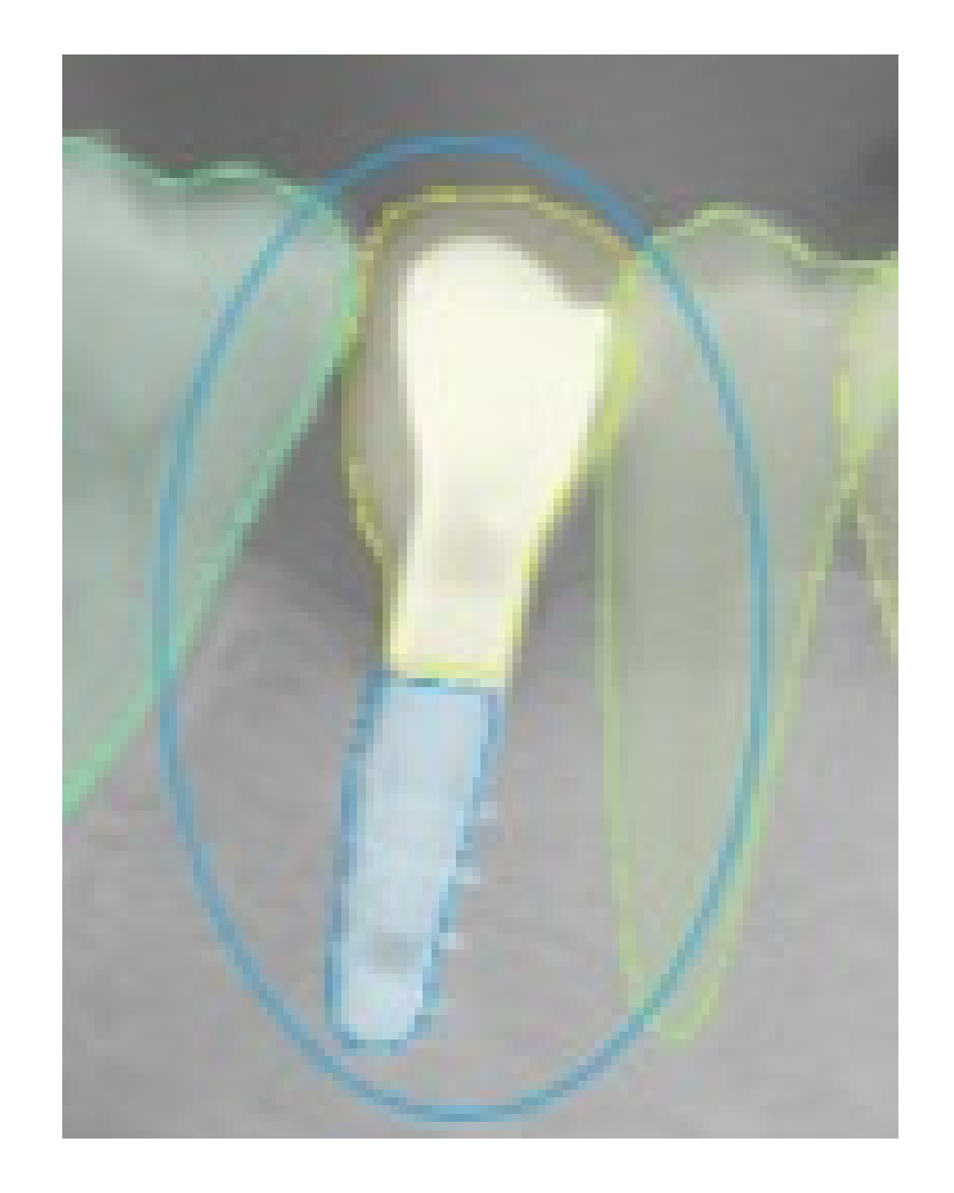 Ijerph 19 01728 g002 550