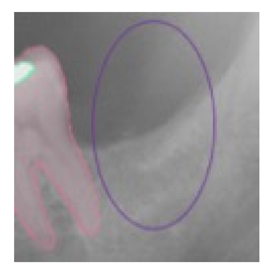 Ijerph 19 01728 g003 550