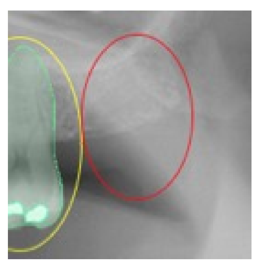 Ijerph 19 01728 g004 550