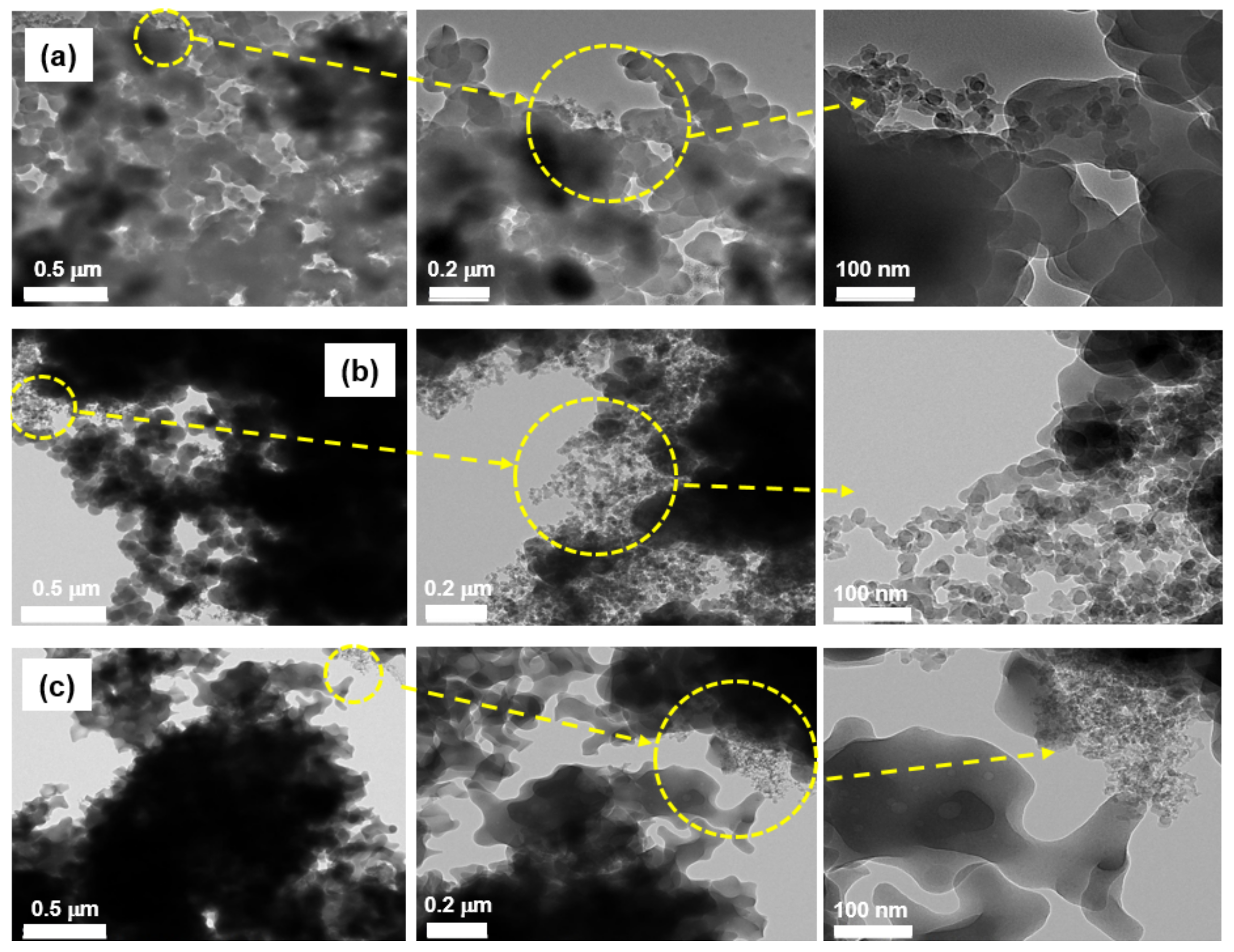 Ijerph 19 01791 g001 550