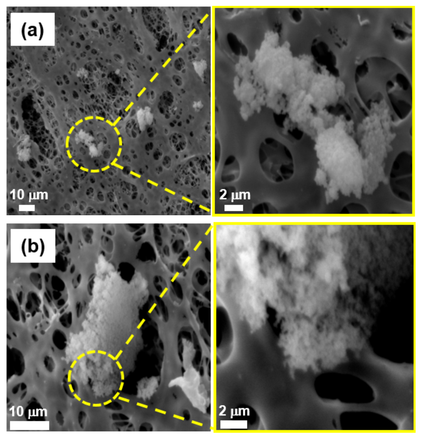 Ijerph 19 01791 g002 550