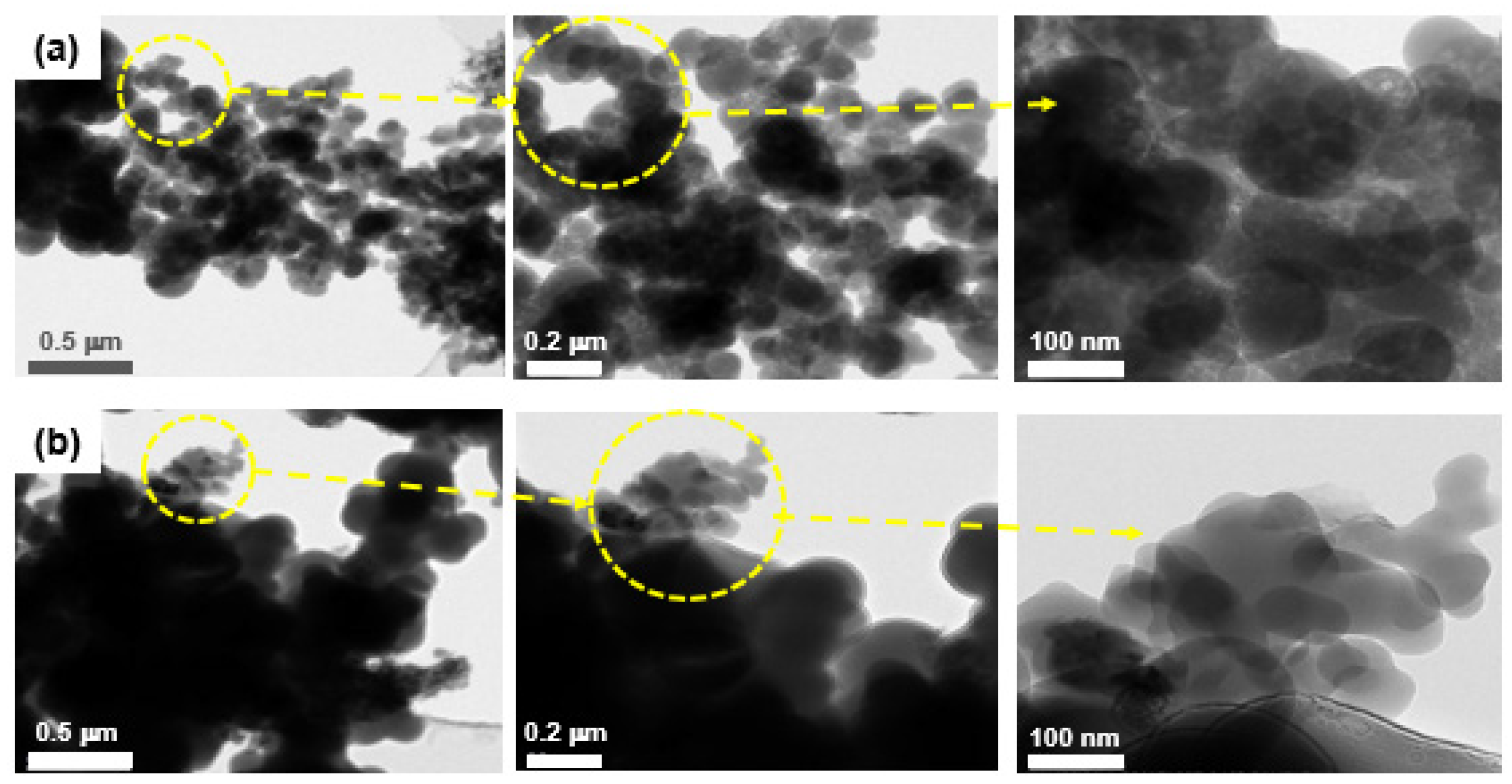 Ijerph 19 01791 g003a 550