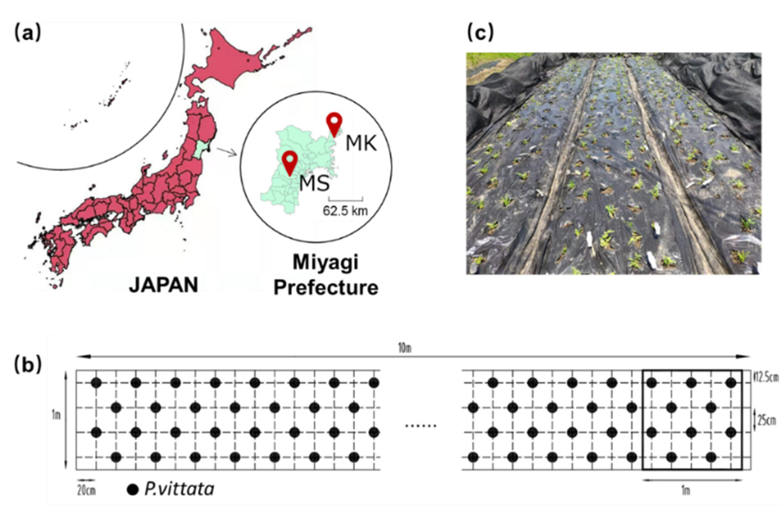 Ijerph 19 01796 g001 Ijerph 19 01796 g001