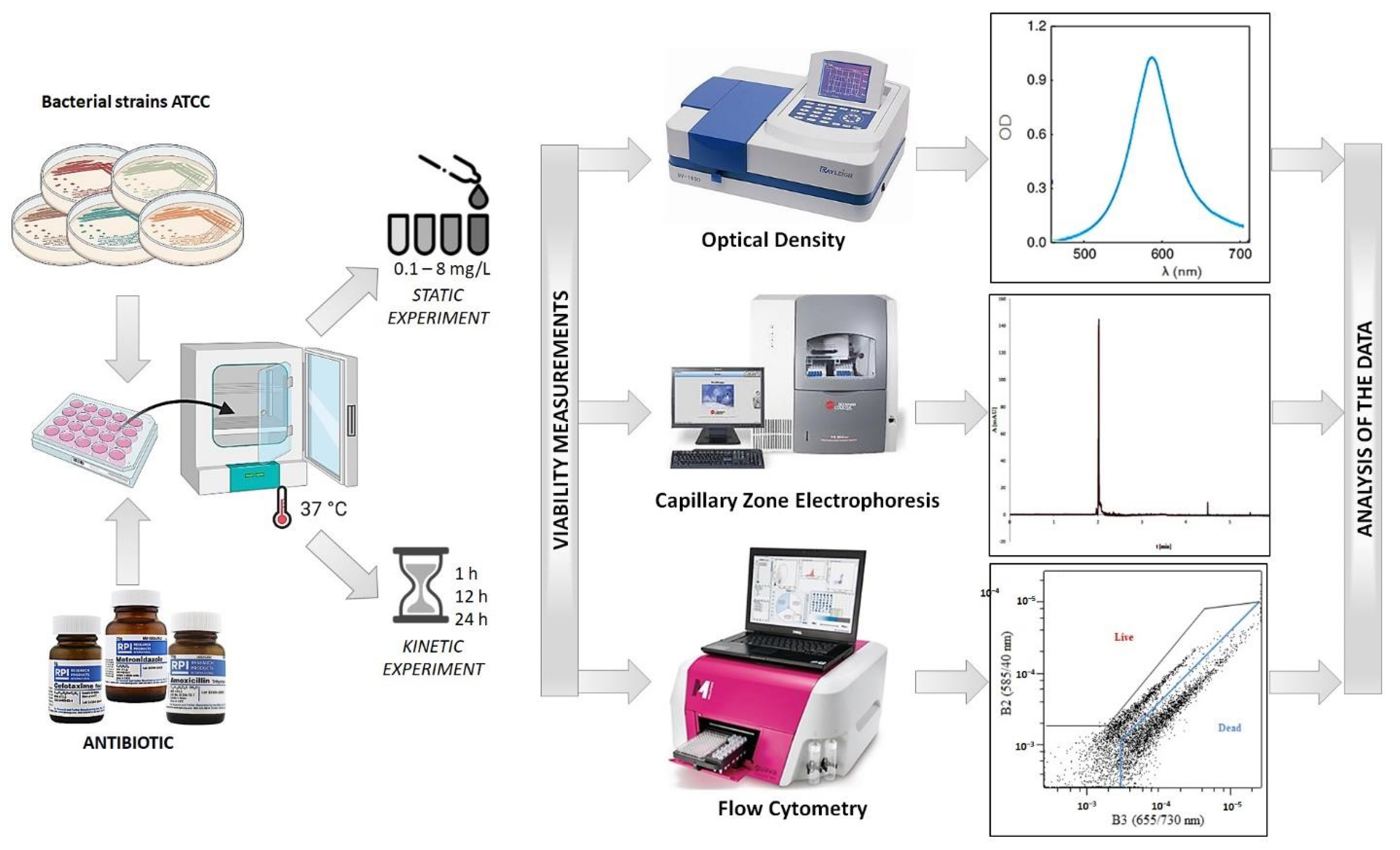 Ijerph 19 01833 g001 550