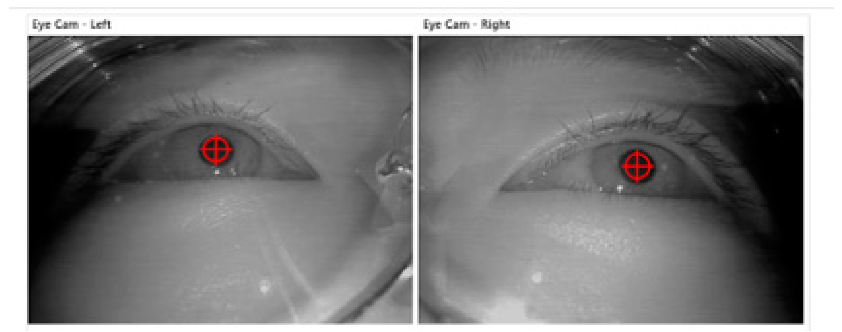 Ijerph 19 01834 g002 550