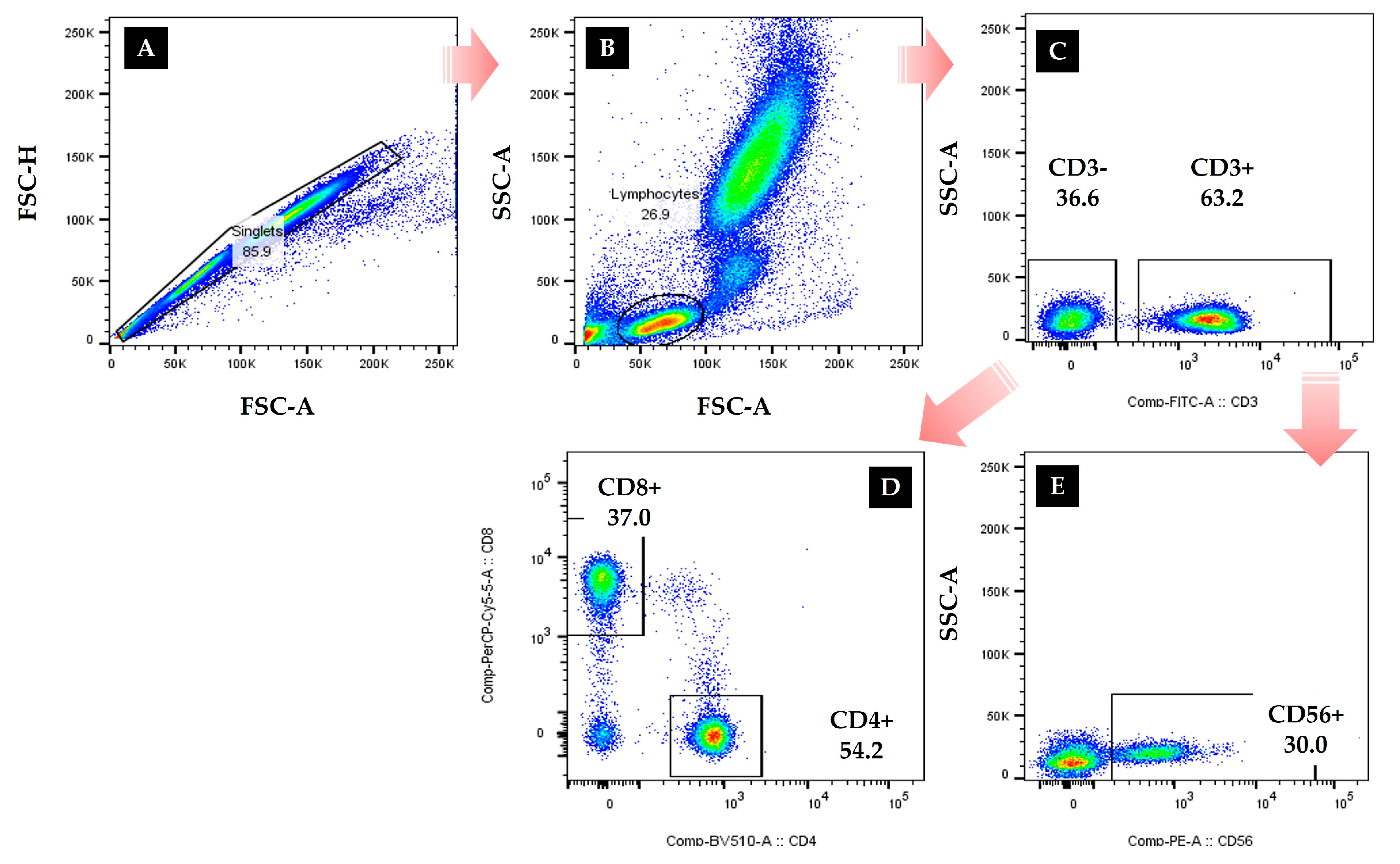 Ijerph 19 01845 g001 550
