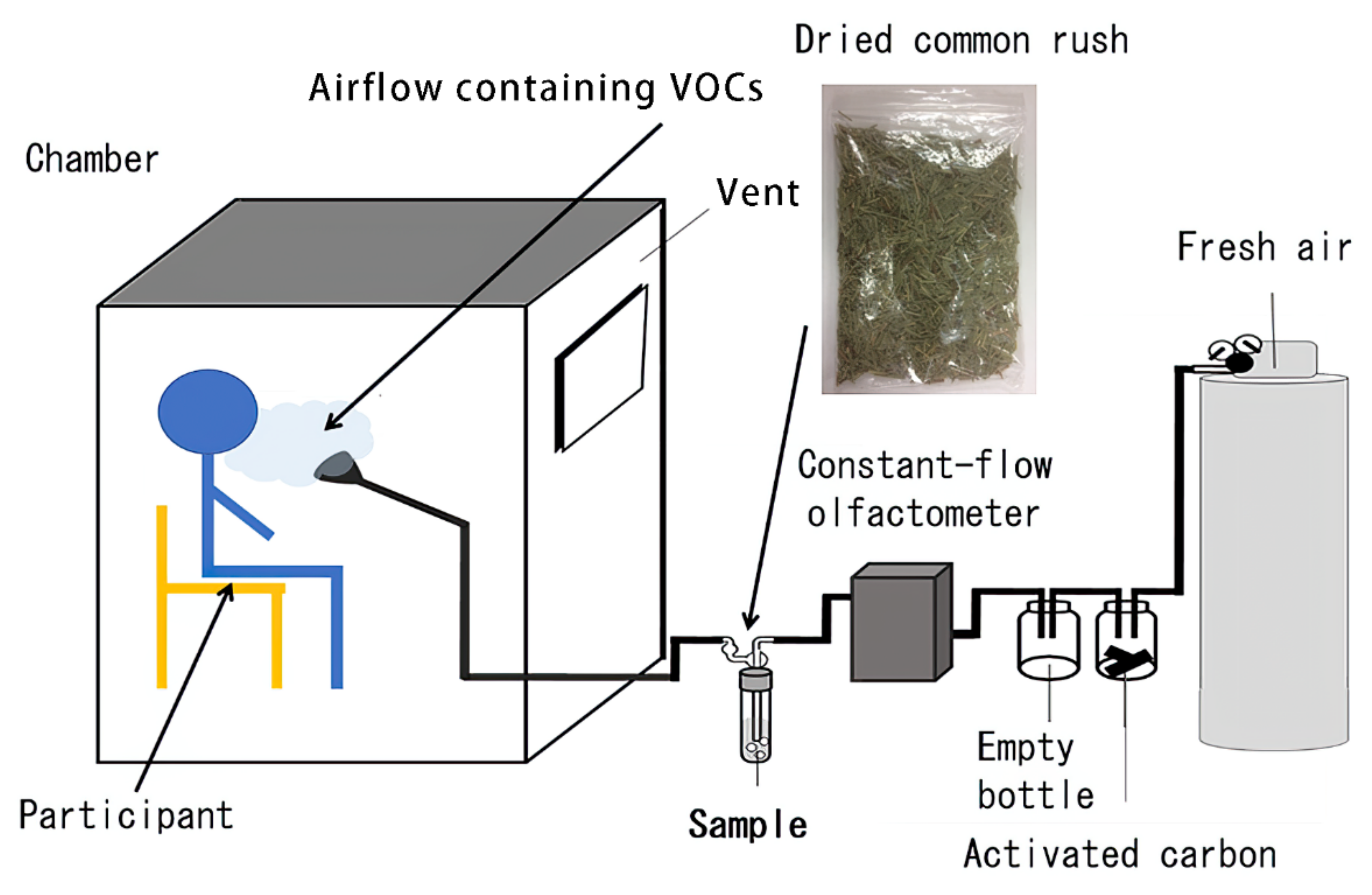 Ijerph 19 01856 g001 Ijerph 19 01856 g001