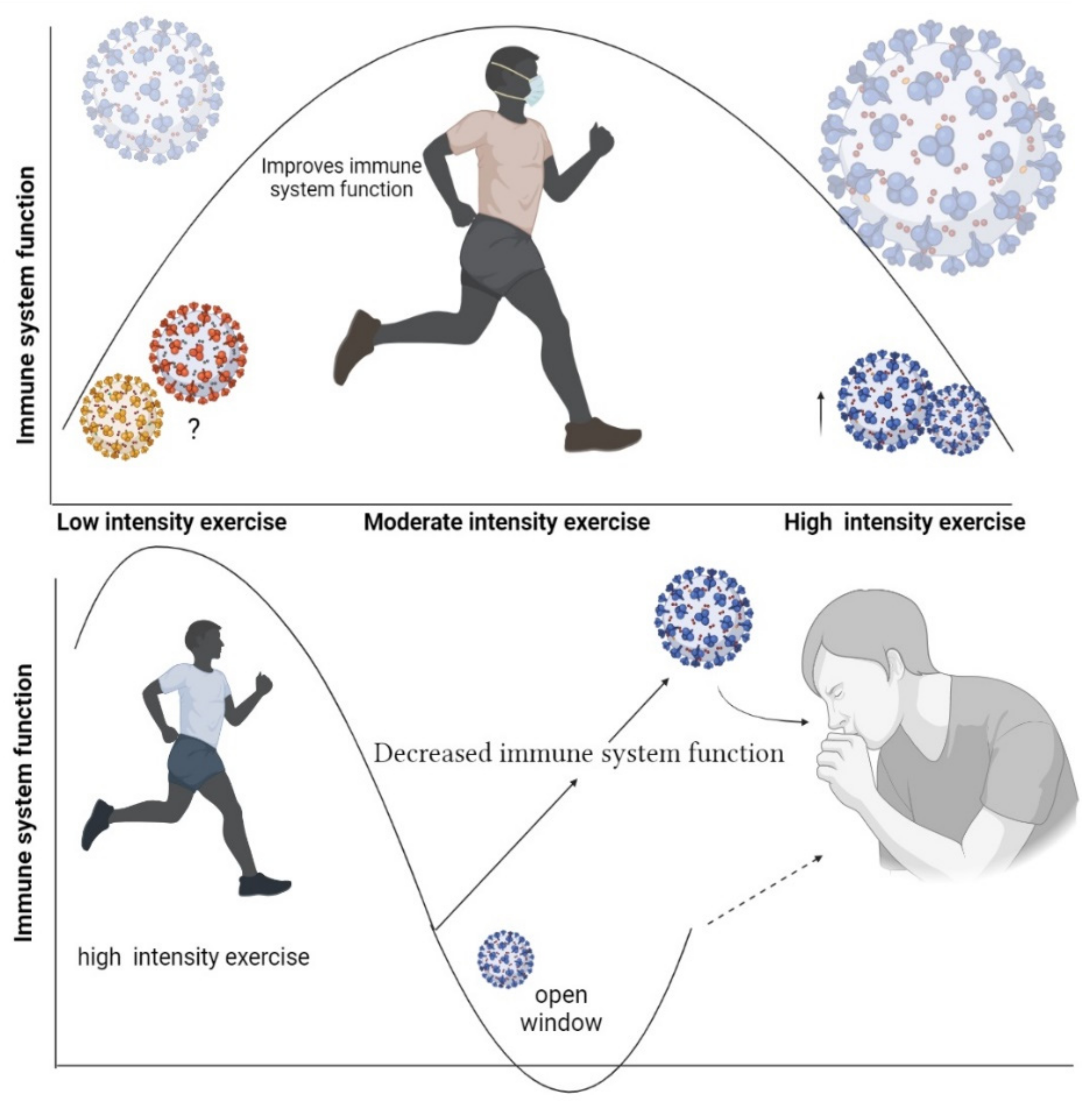 Aerobic exercise on sale and immune system