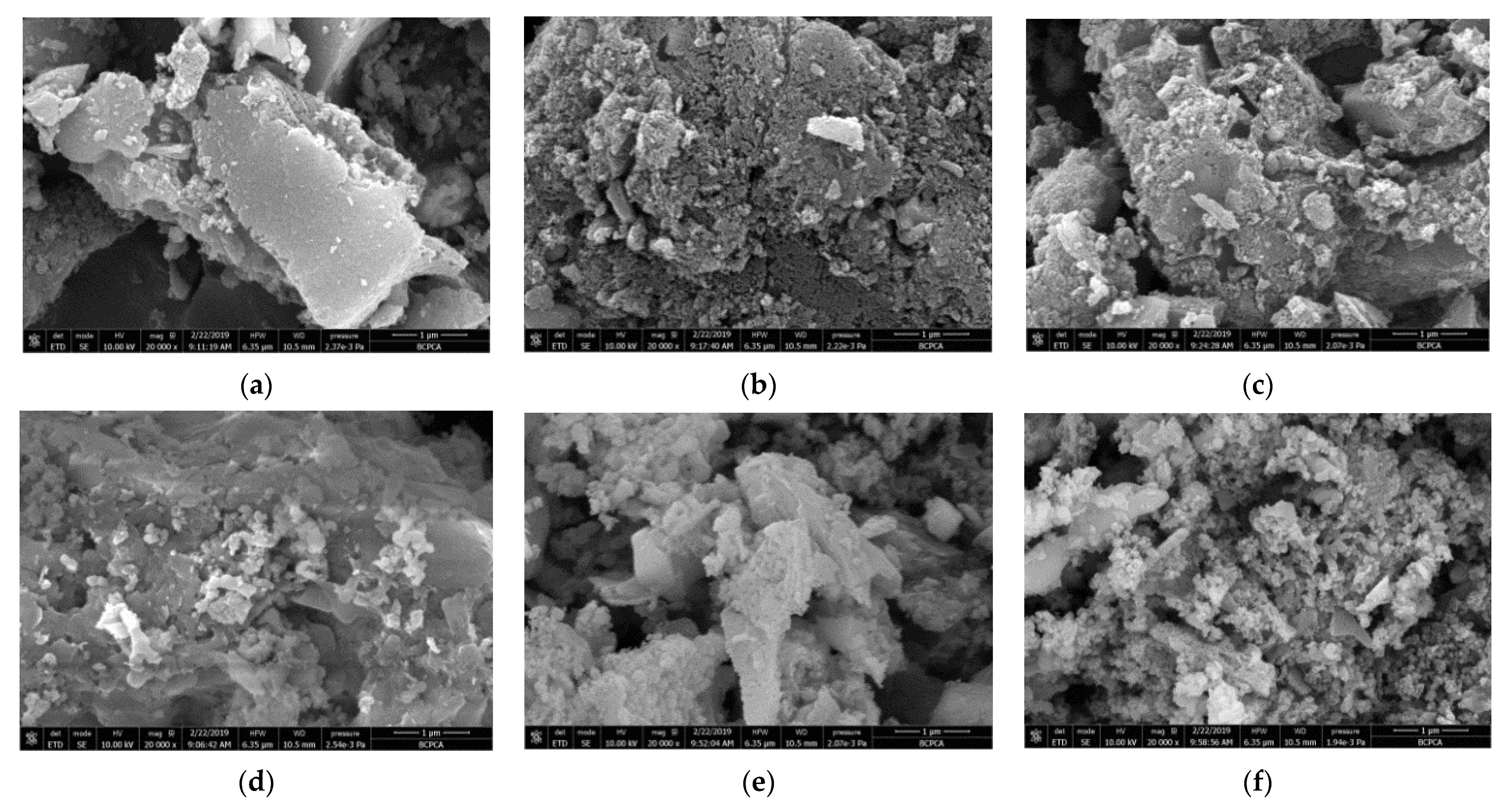 Ijerph 19 01890 g007 550