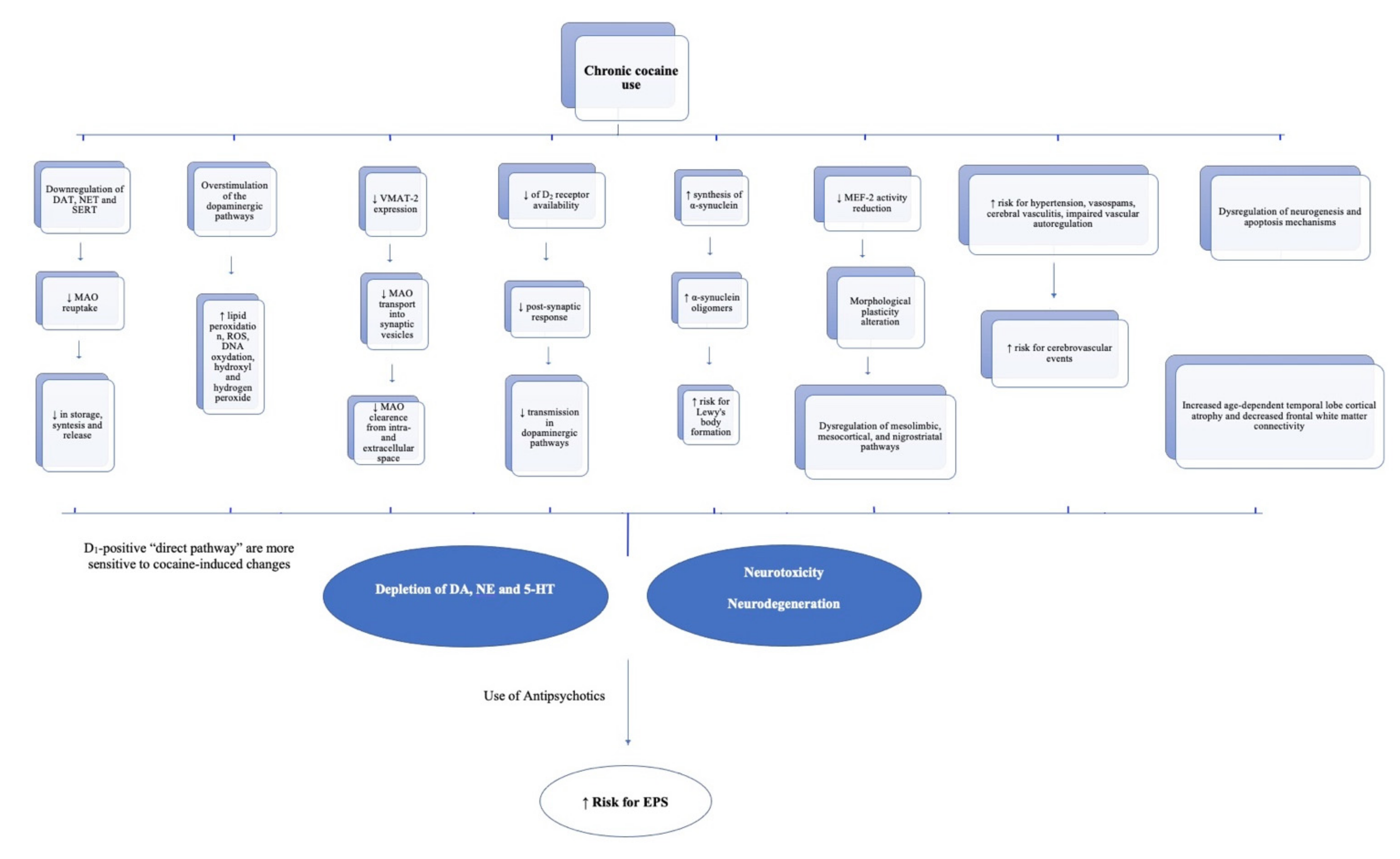 Ijerph 19 01897 g001 550