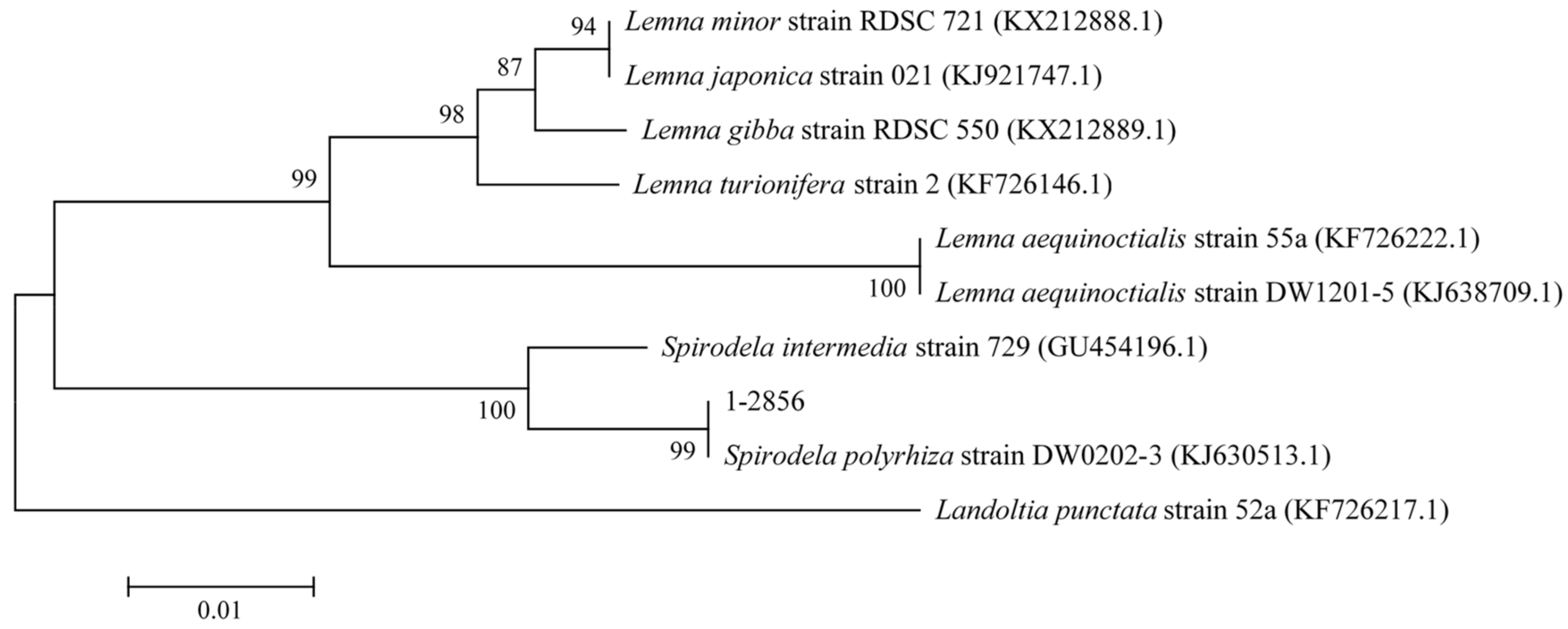 Ijerph 19 01949 g001