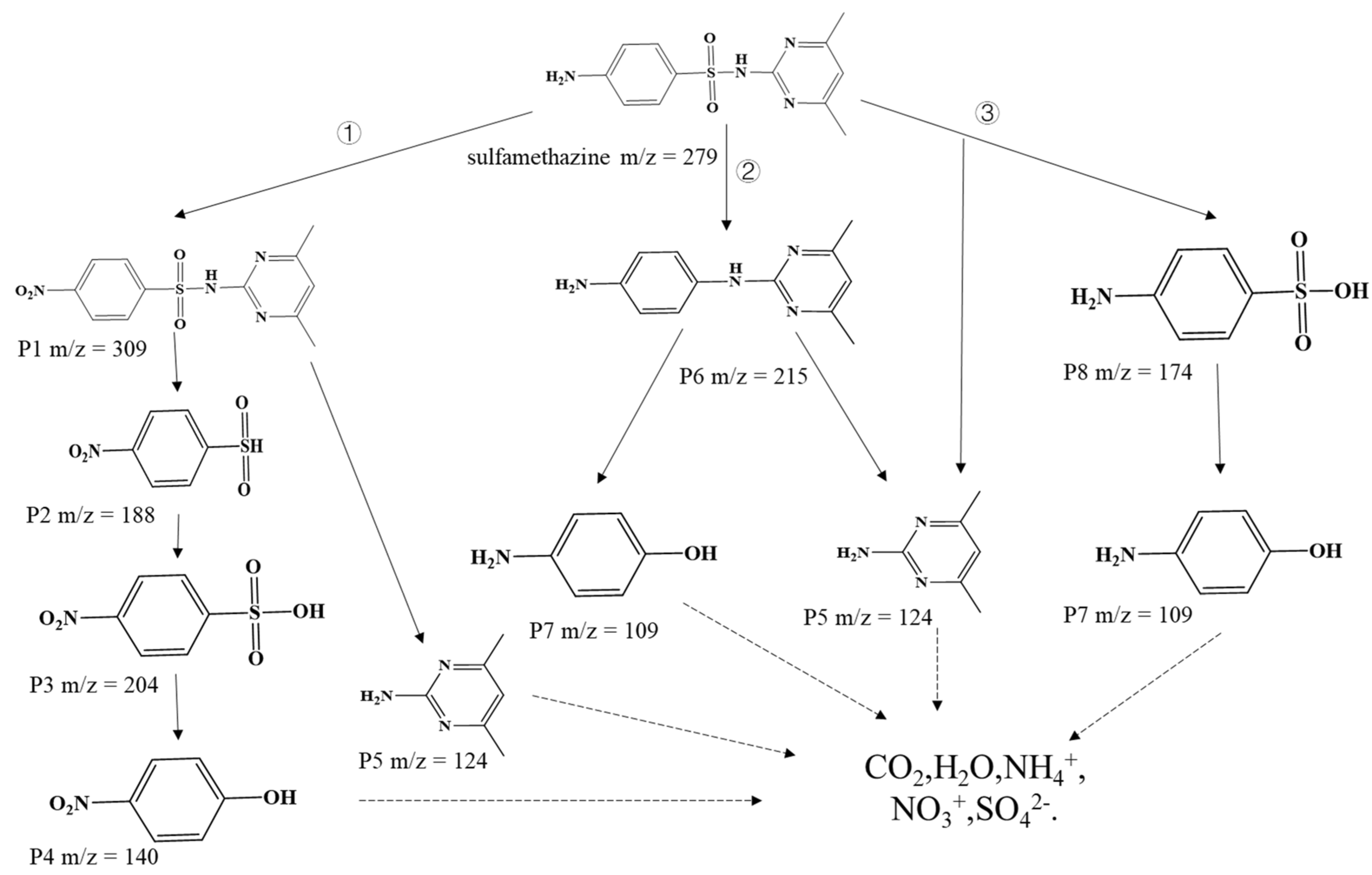 Ijerph 19 01949 g007
