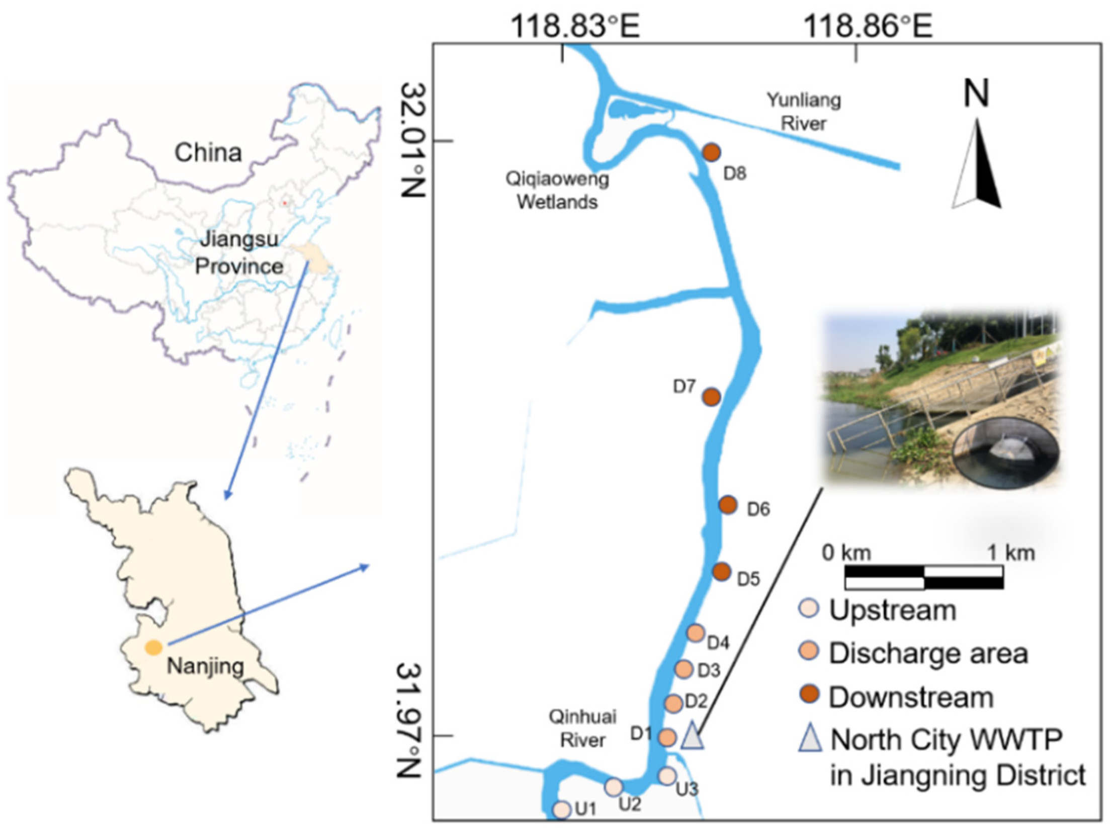 Spatial Pattern Evolution of the Manufacturing Industry in the Yangtze  River Economic Belt and Its Impact on PM2.5