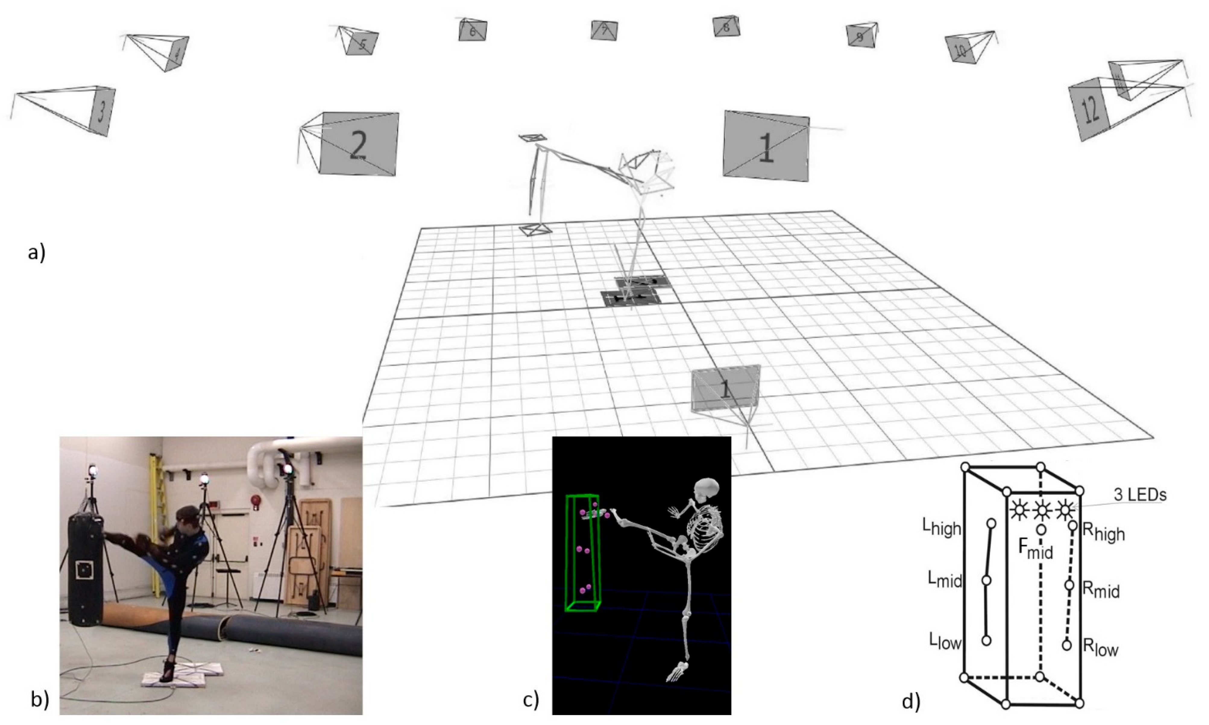 IJERPH Free Full-Text Performance Alteration Induced by Weight Cutting in Mixed Martial Artsandmdash;A Biomechanical Pilot Investigation