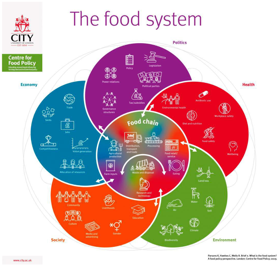 Ijerph 19 02019 g0a1