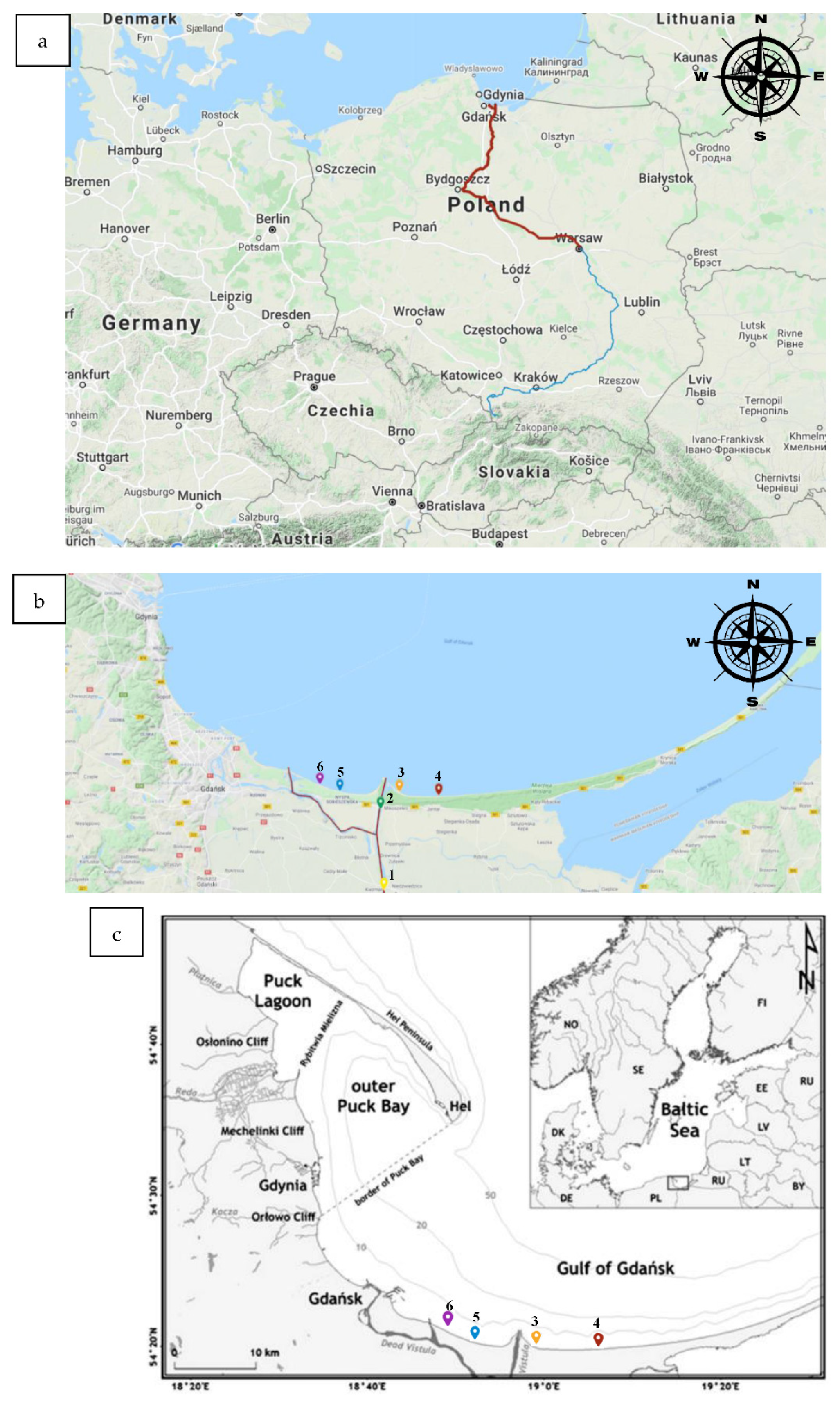 Ijerph 19 02048 g001 Ijerph 19 02048 g001