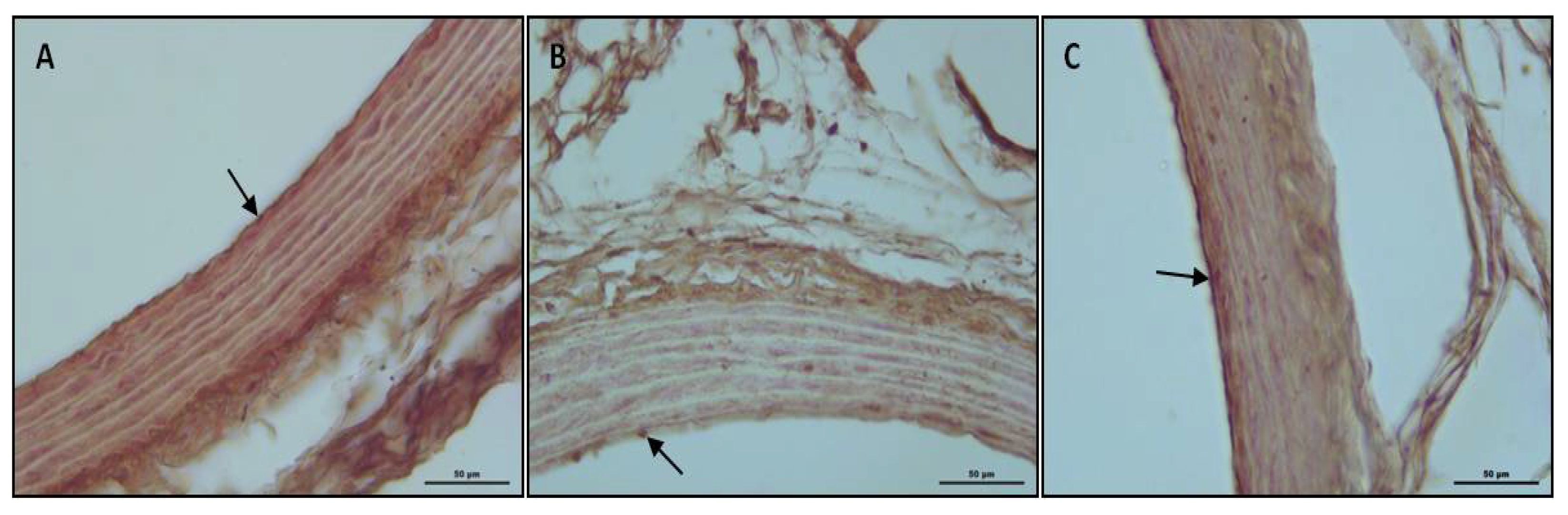 Ijerph 19 02138 g004