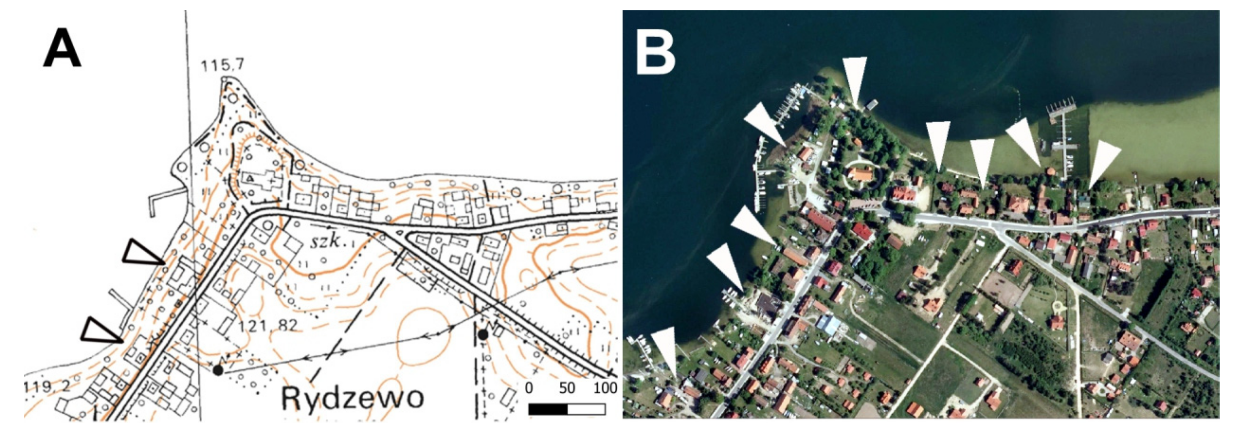 Ijerph 19 02141 g005 550