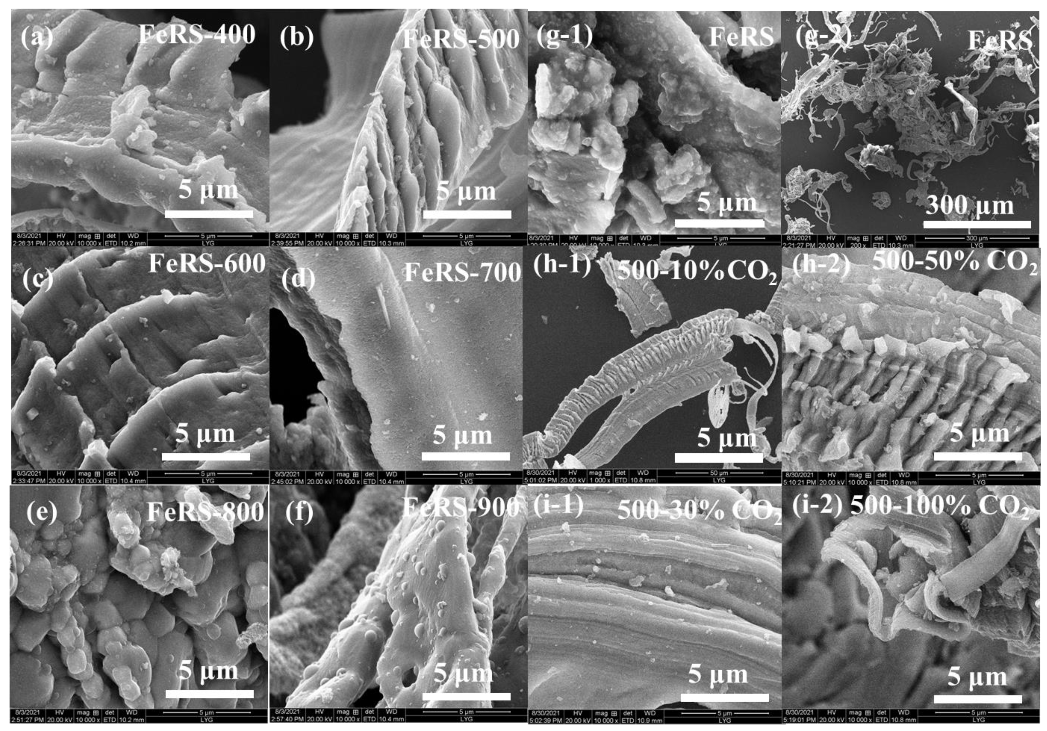 Ijerph 19 02152 g004