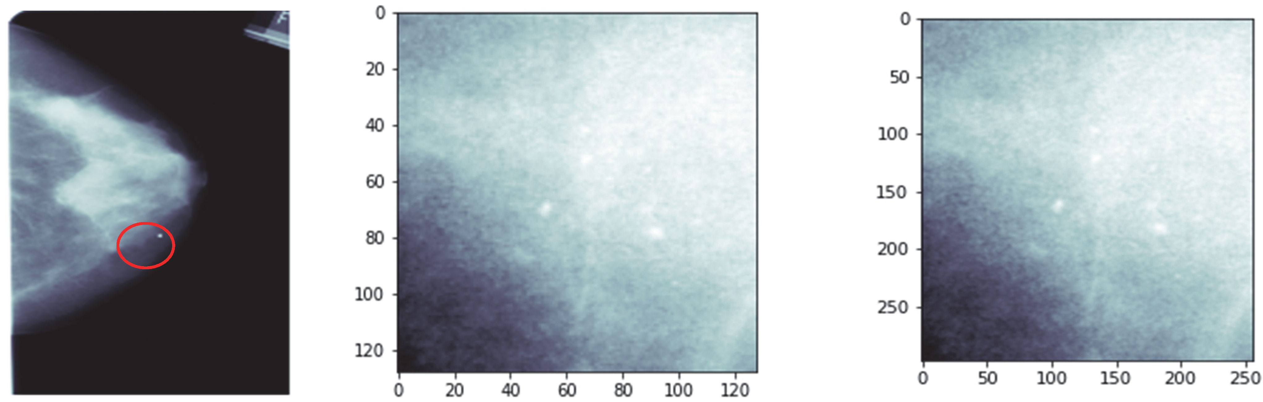 Ijerph 19 02159 g001a Ijerph 19 02159 g001a