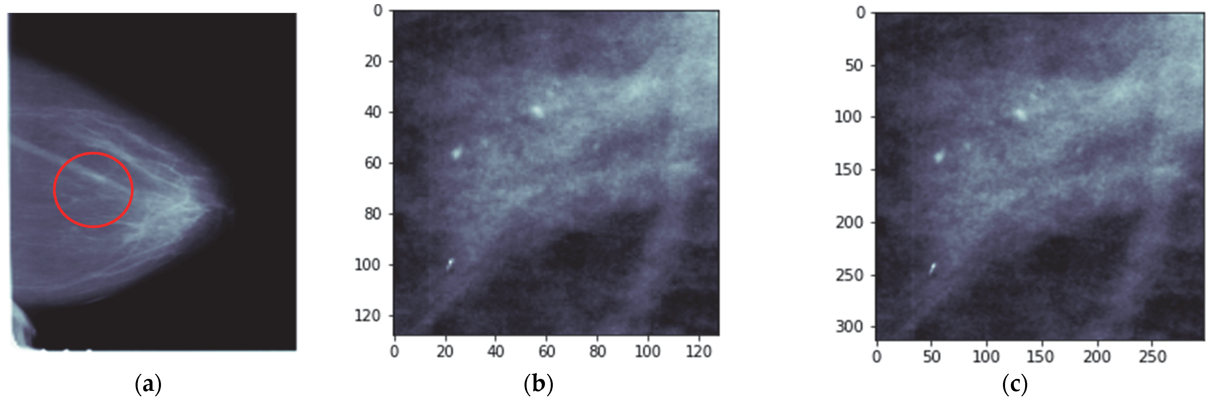 Ijerph 19 02159 g001b Ijerph 19 02159 g001b