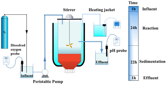 sulfate reduction