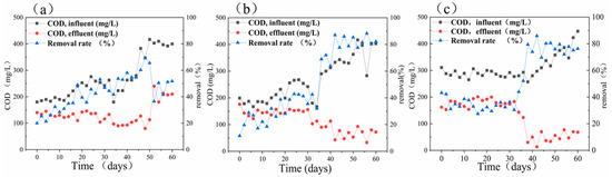 sulfate reduction