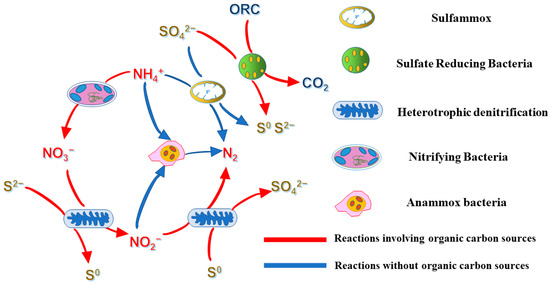 sulfate reduction