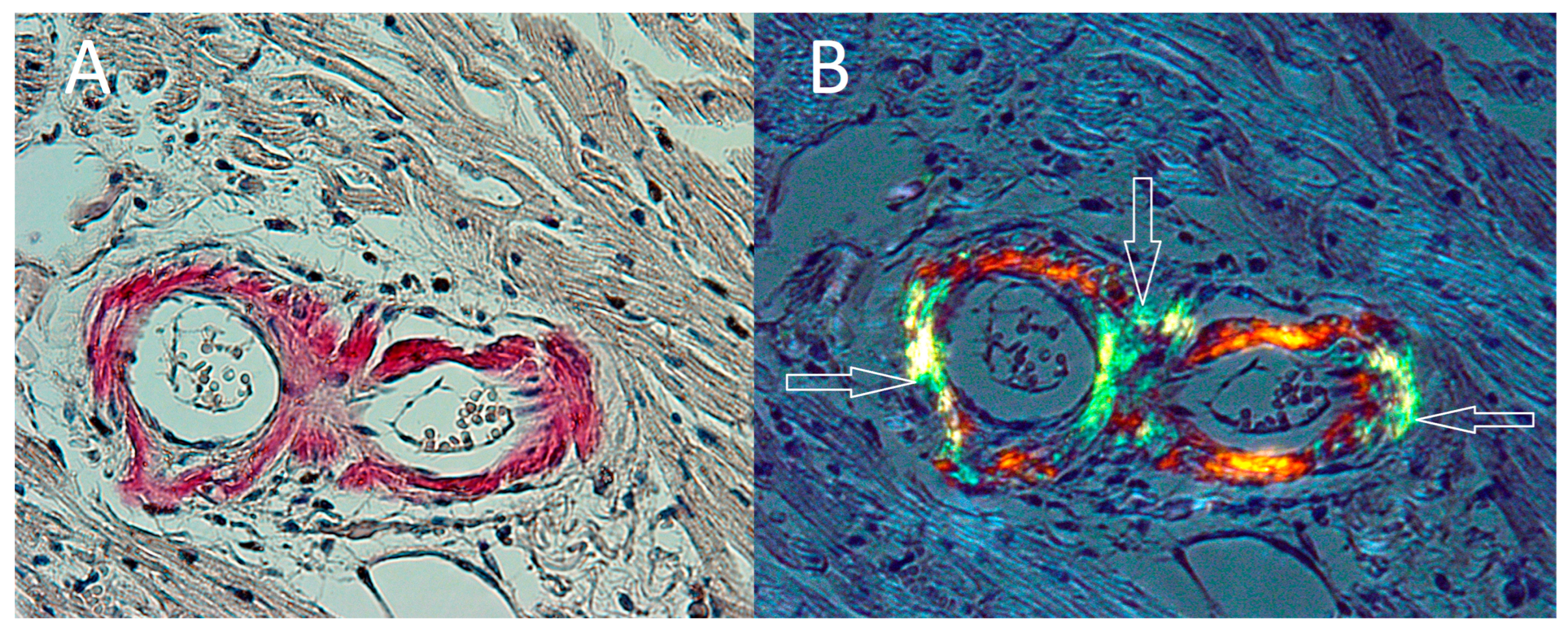 Ijerph 19 02297 g002 Ijerph 19 02297 g002