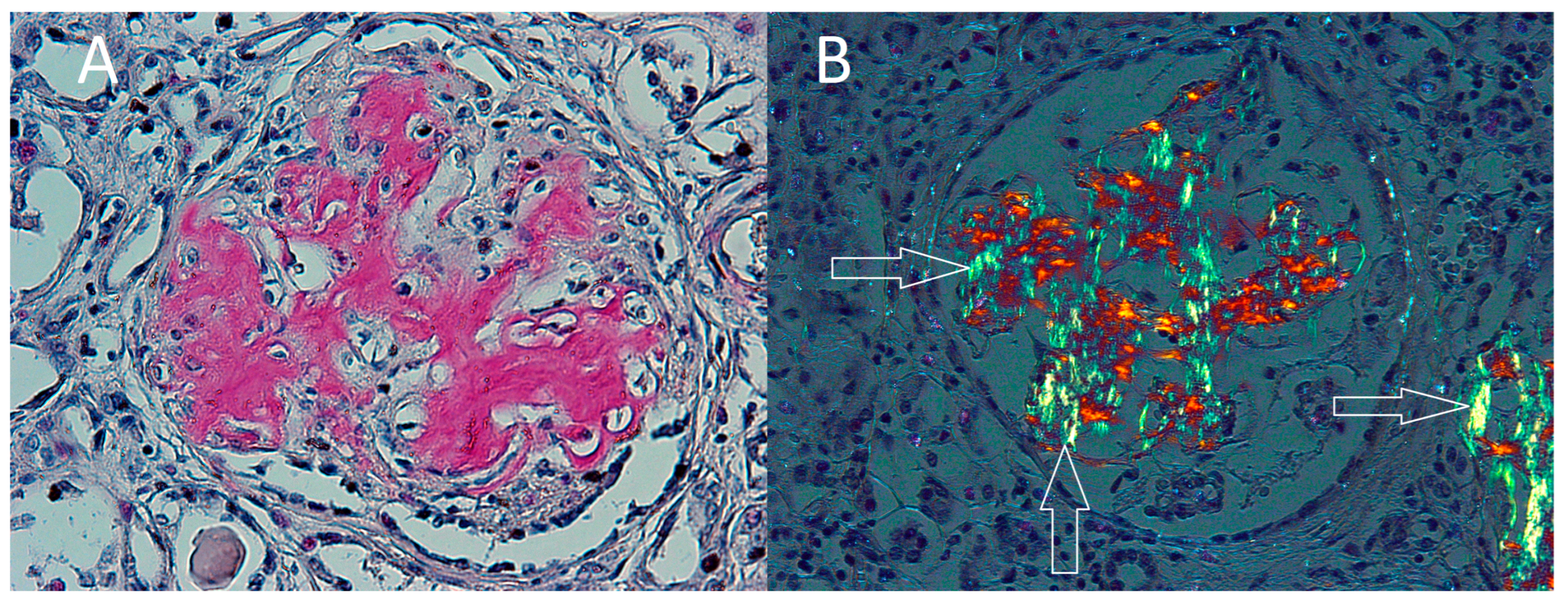 Ijerph 19 02297 g003 Ijerph 19 02297 g003