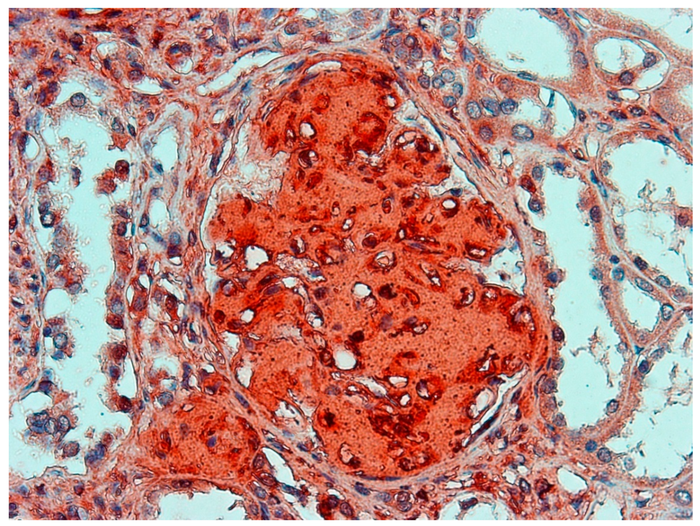 Ijerph 19 02297 g004 Ijerph 19 02297 g004