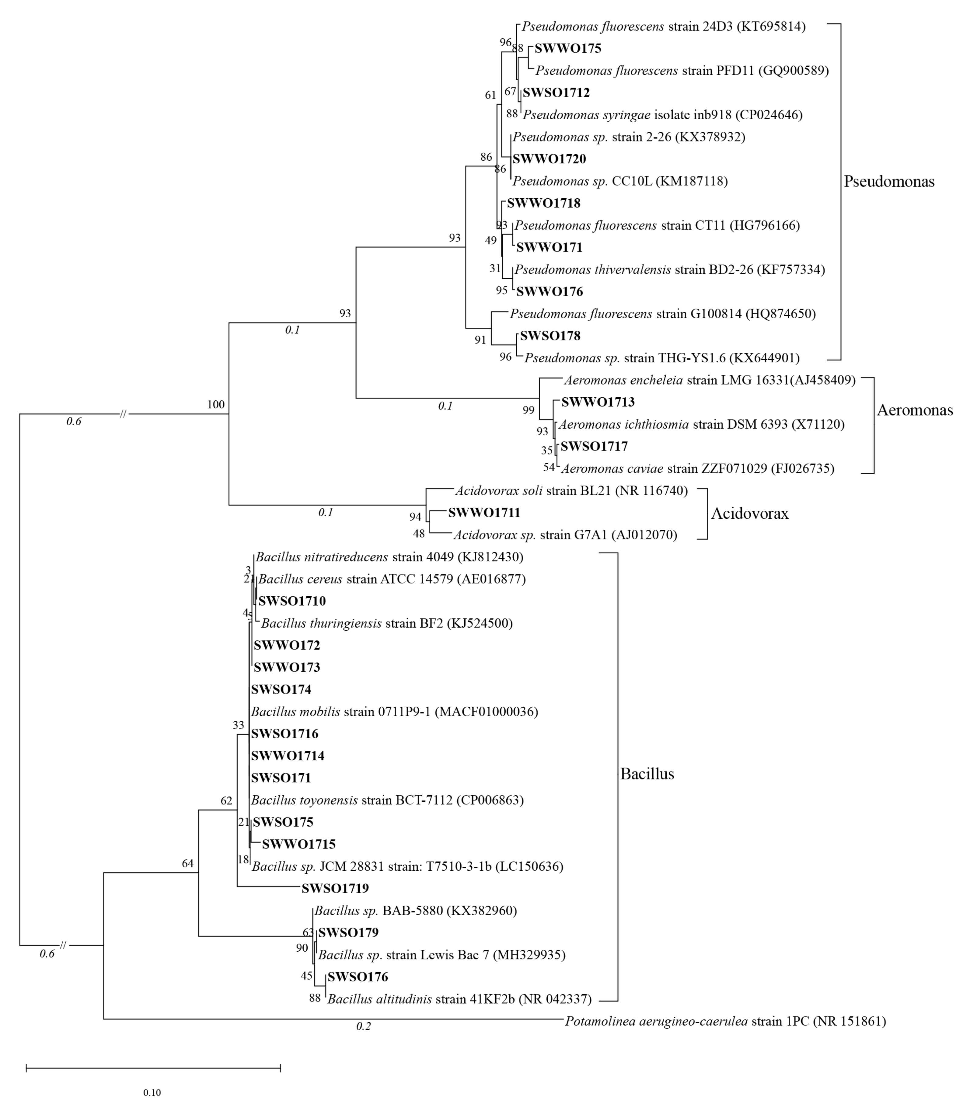 Ijerph 19 02320 g002 550