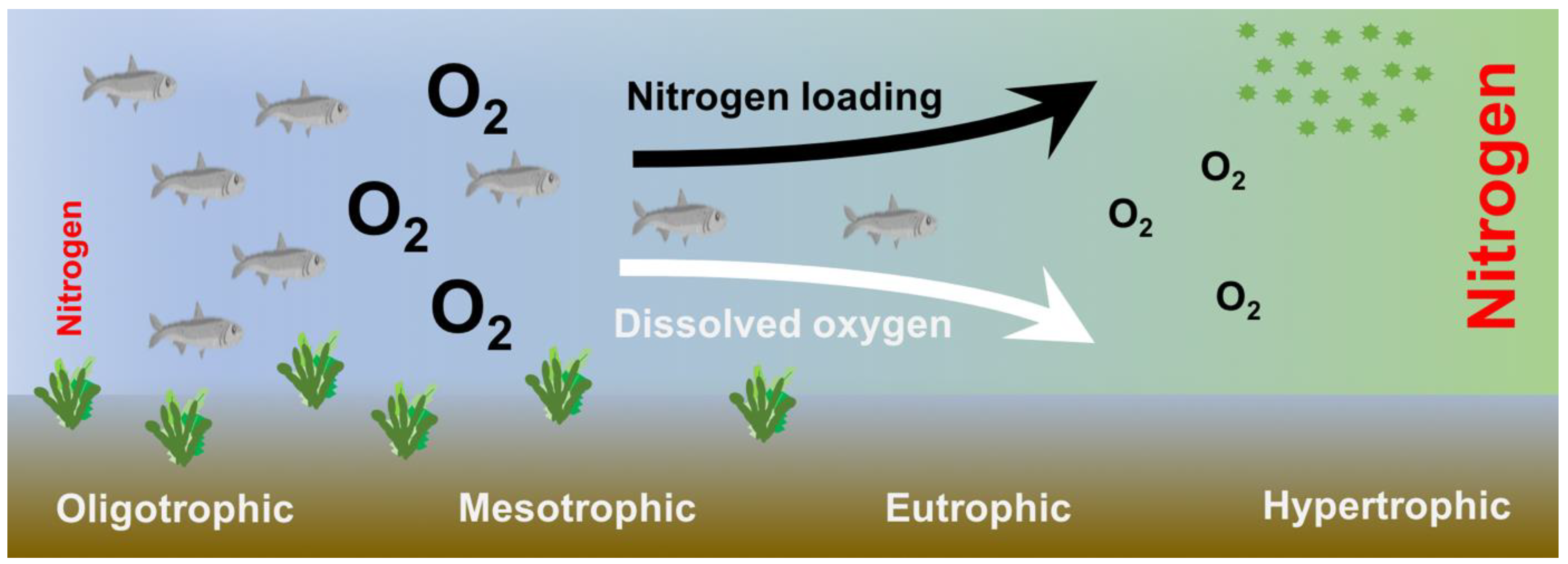 Ijerph 19 02411 g001