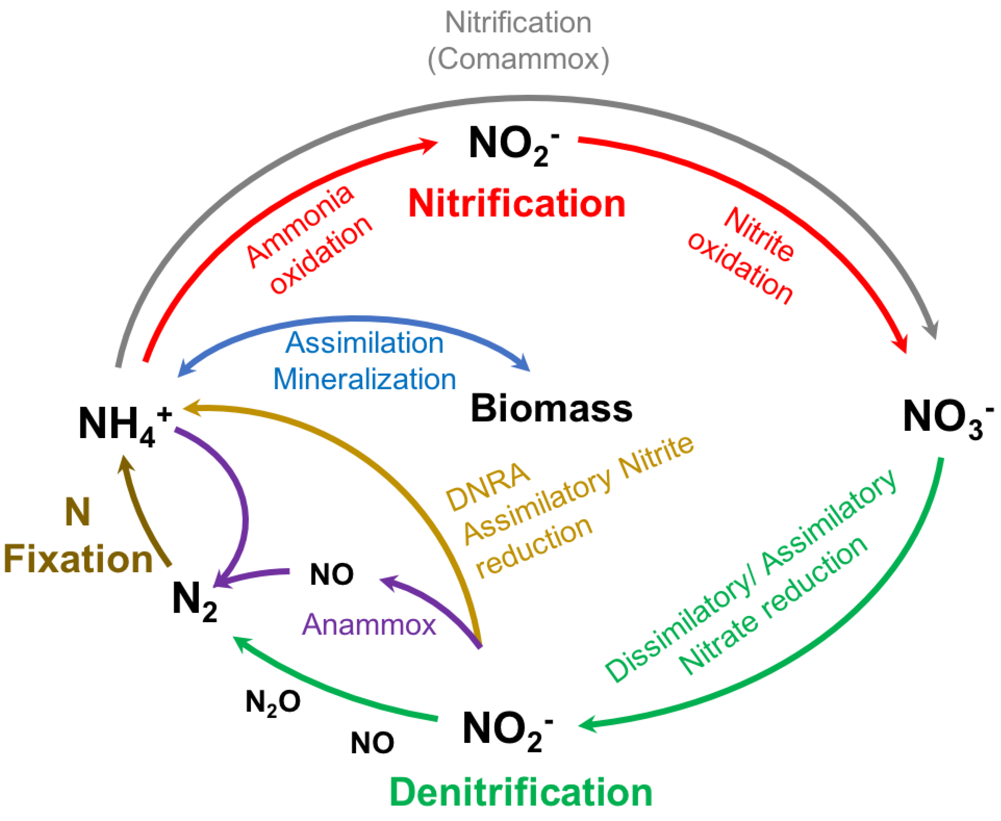 Ijerph 19 02411 g002