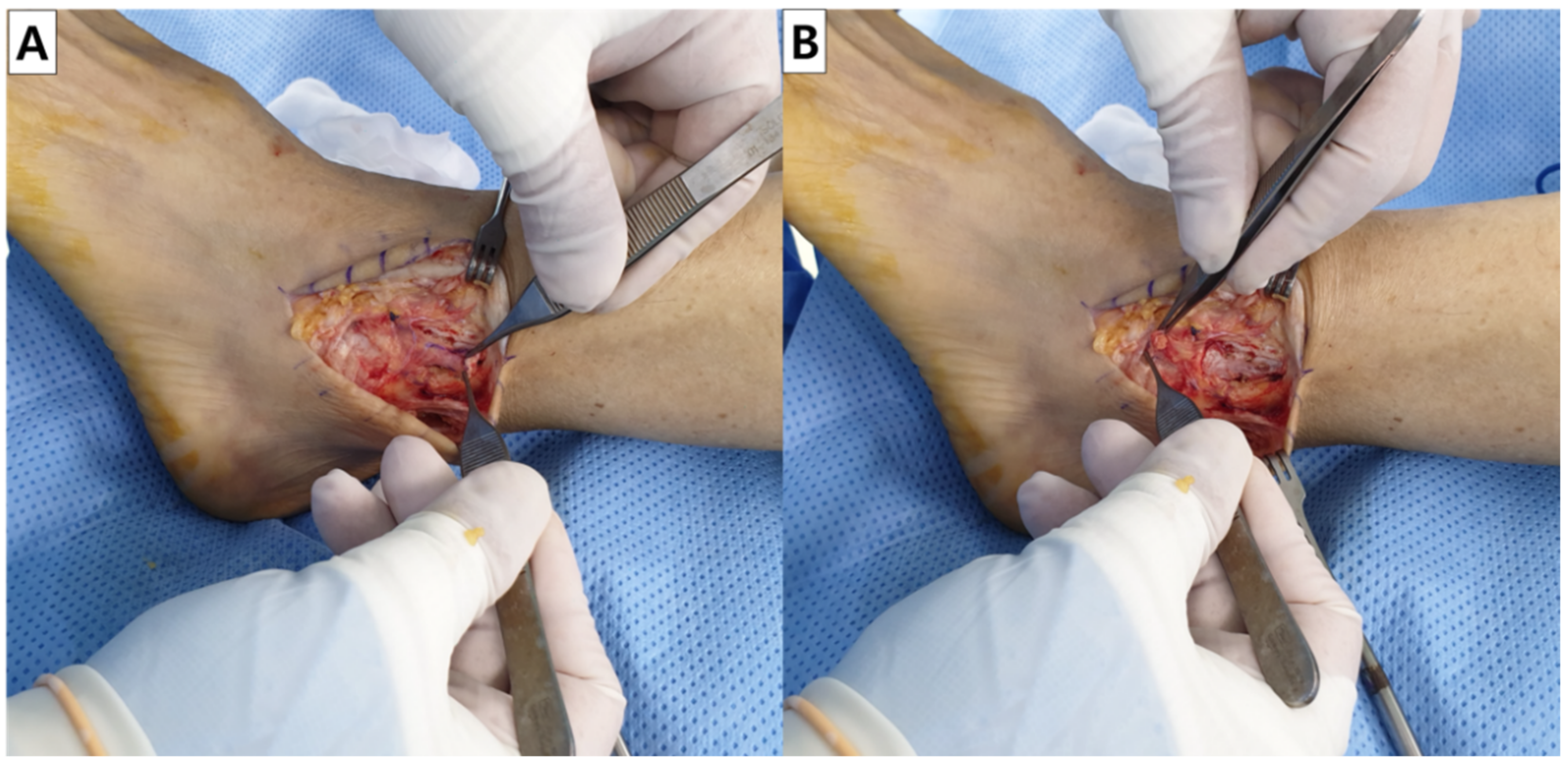 Ijerph 19 02428 g003