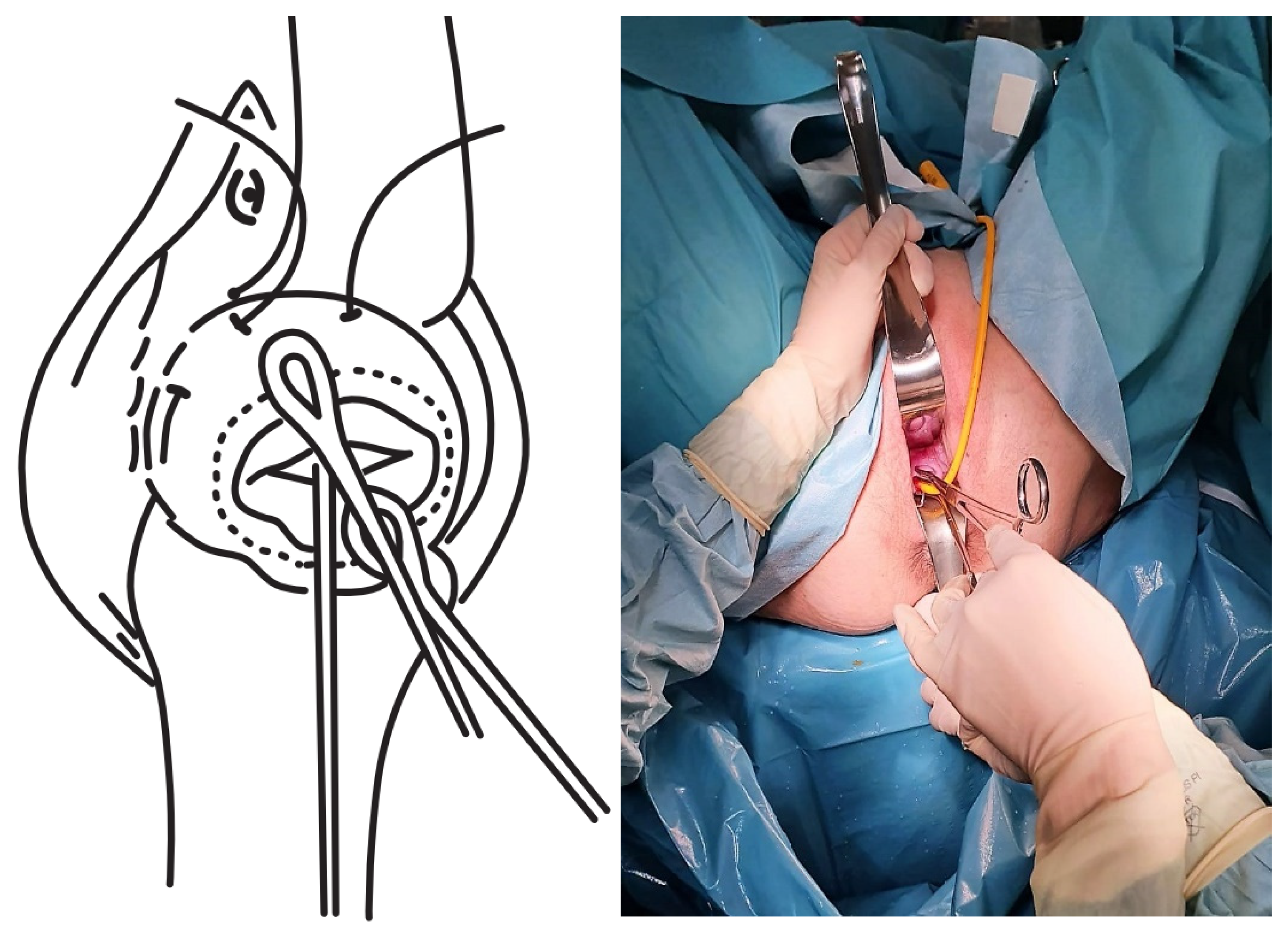 Ijerph 19 02636 g001 550