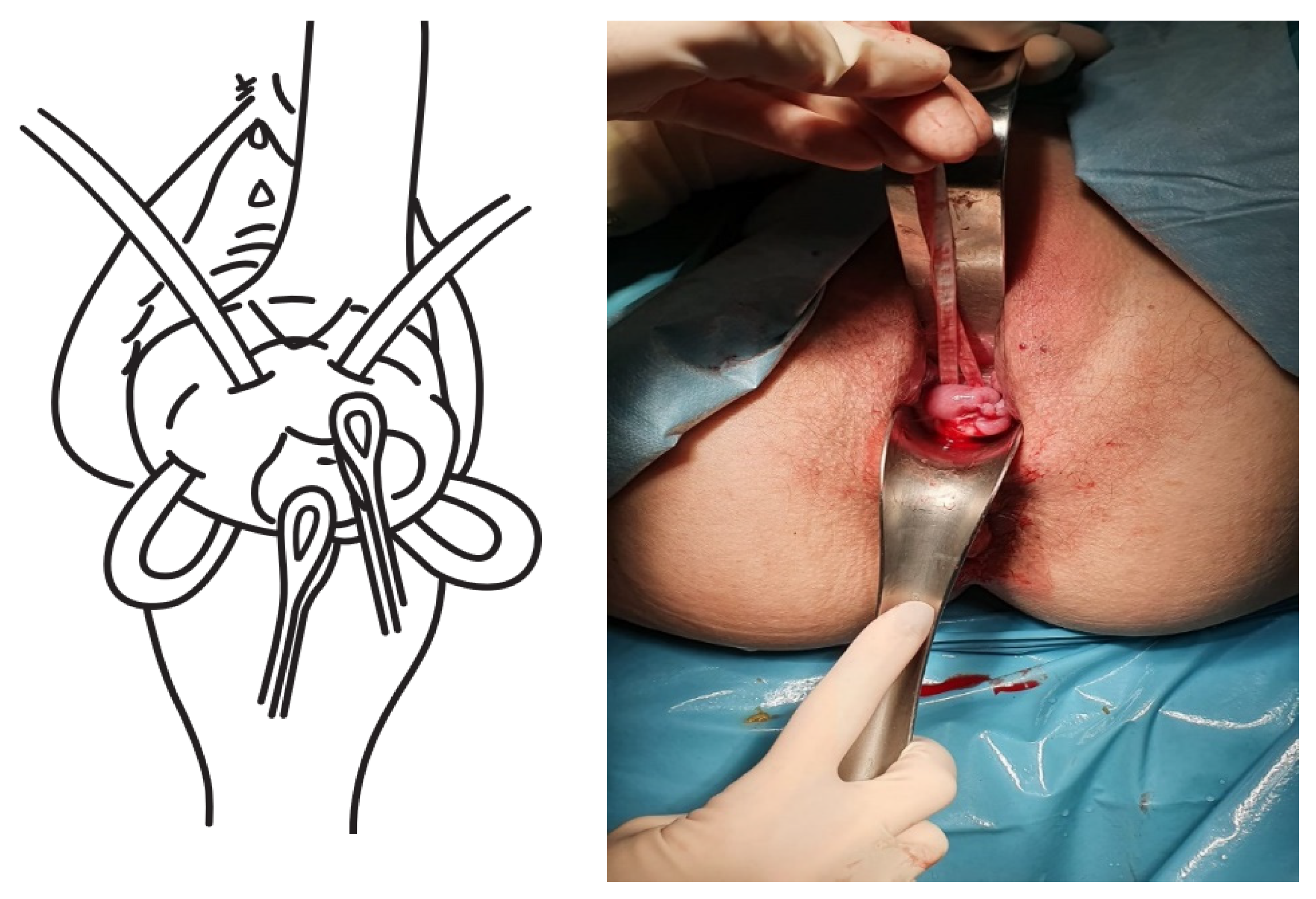 Ijerph 19 02636 g003 550