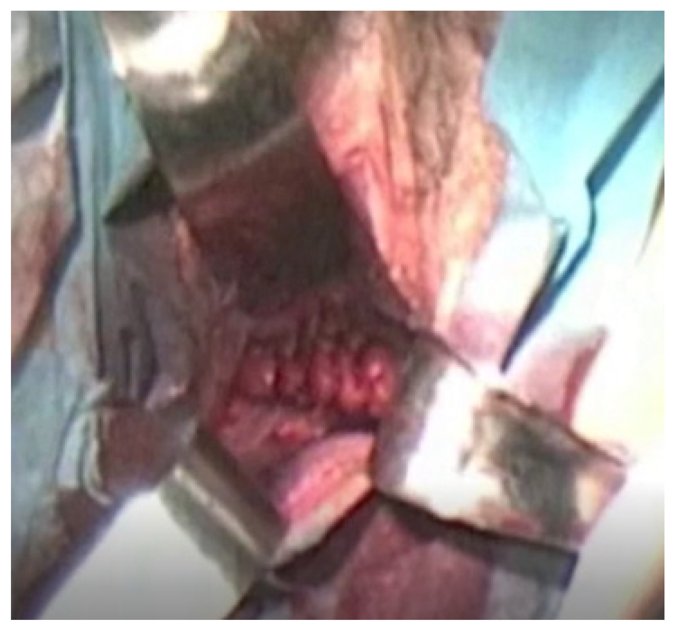 Ijerph 19 02636 g005 550