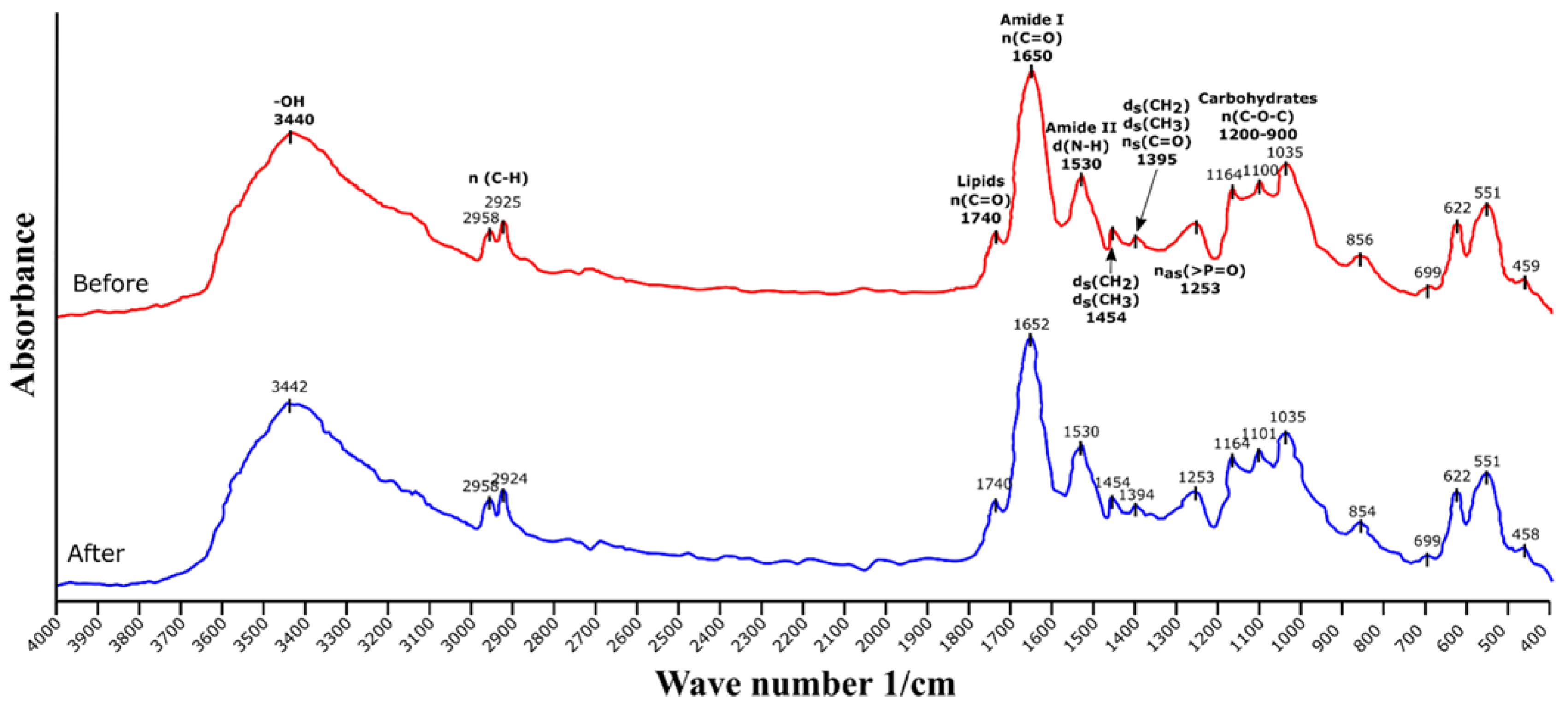 Ijerph 19 02653 g001 550