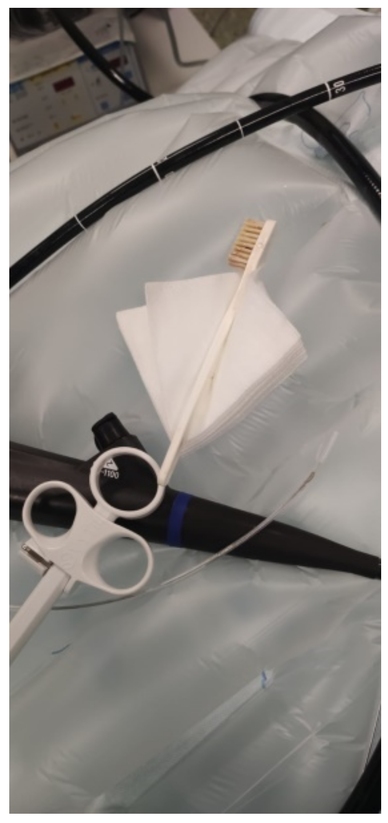 Ijerph 19 02682 g002