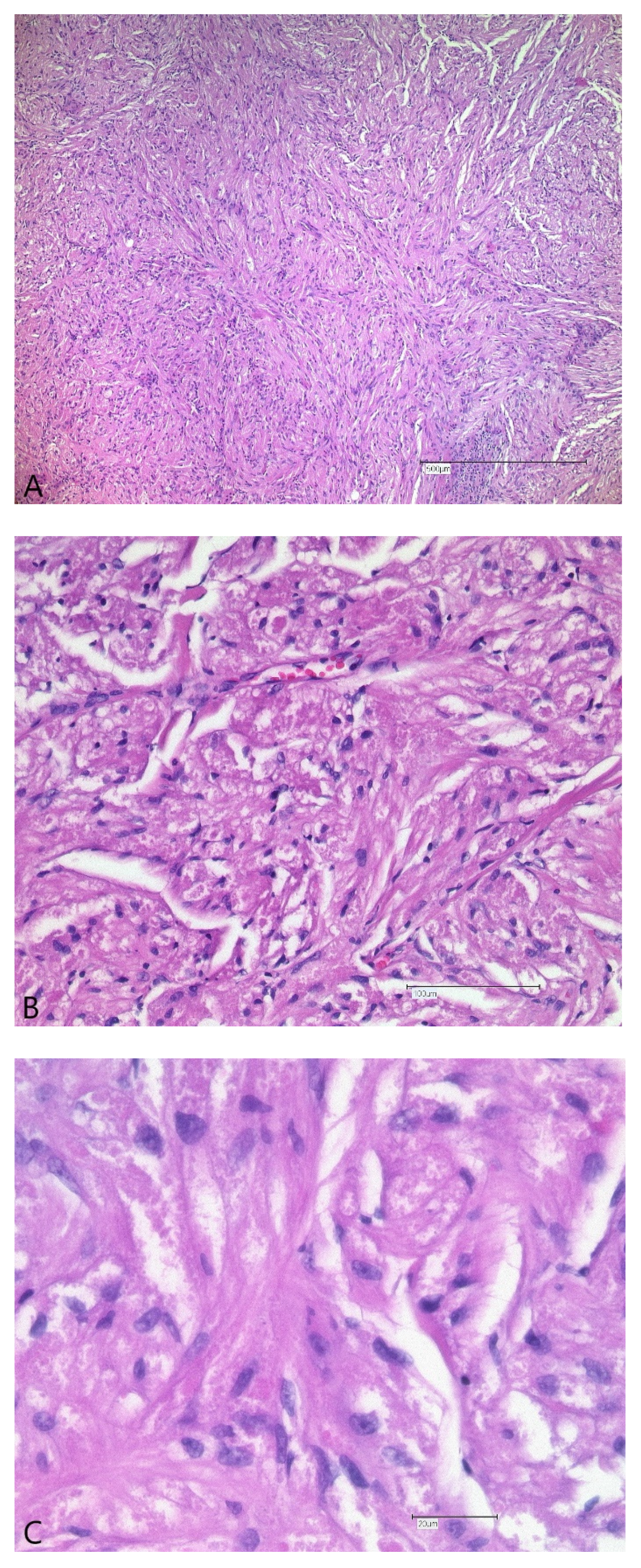 Ijerph 19 02690 g005a Ijerph 19 02690 g005a