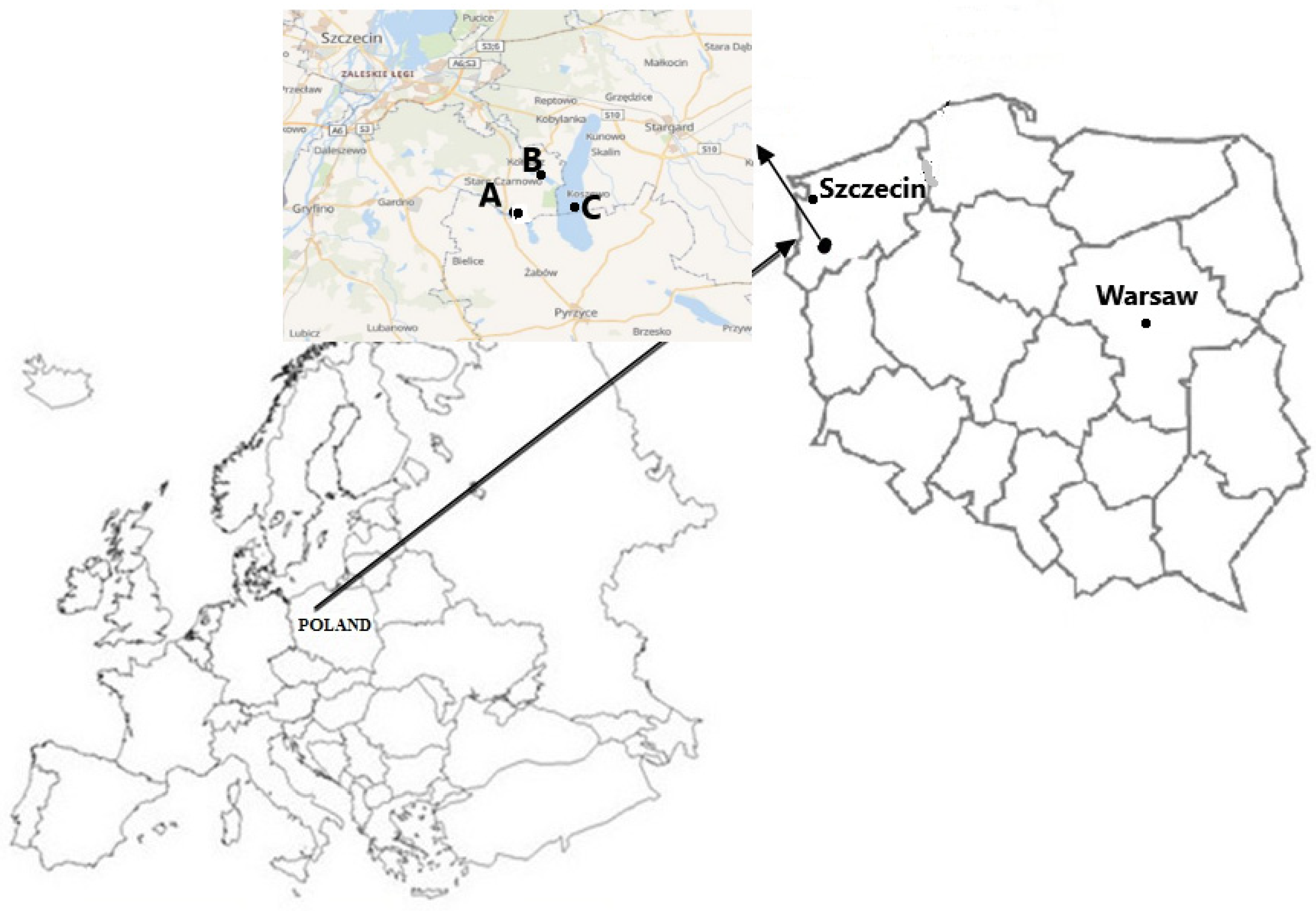 Ijerph 19 02762 g001 550