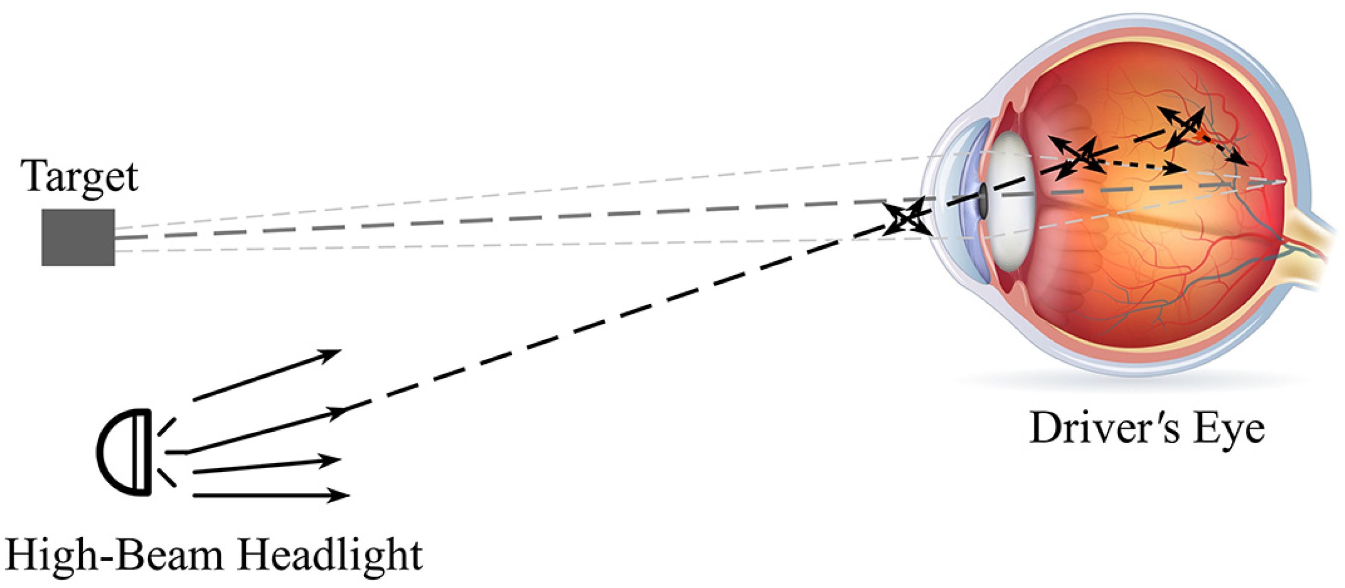 Ijerph 19 02766 g001