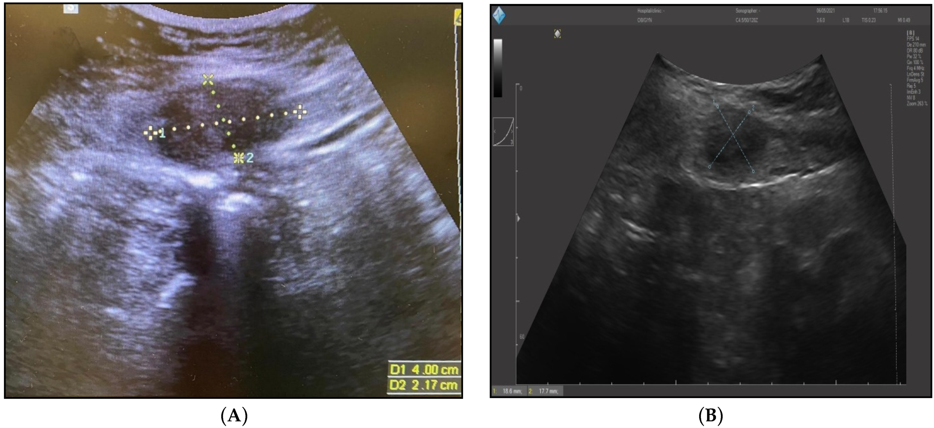 Ijerph 19 02791 g001 550