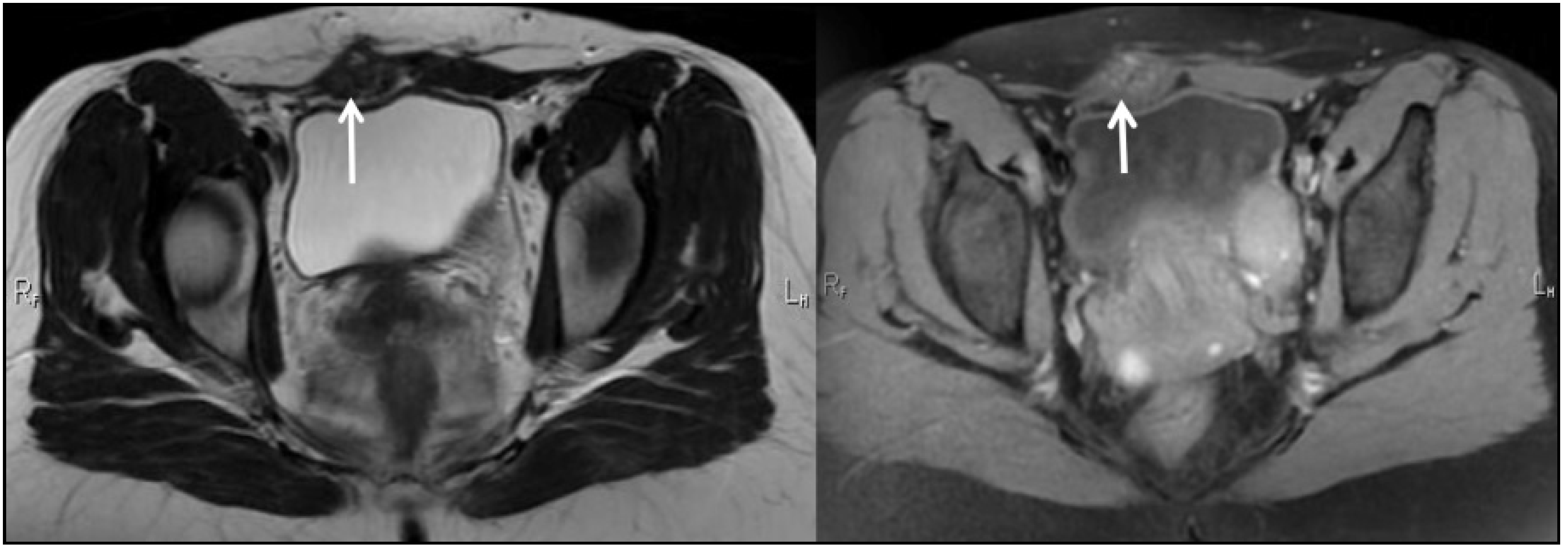 Ijerph 19 02791 g002 550