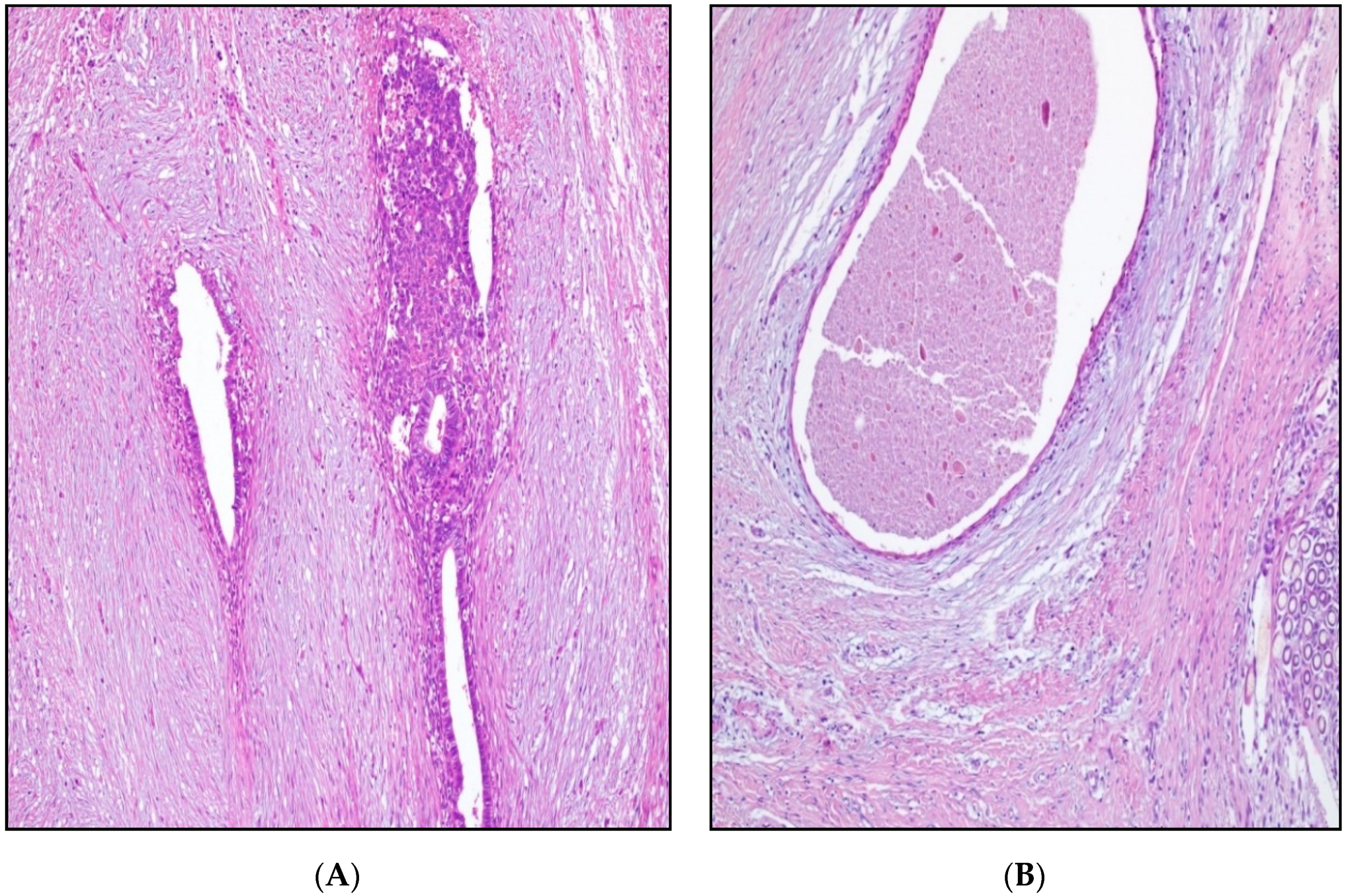 Ijerph 19 02791 g003 550