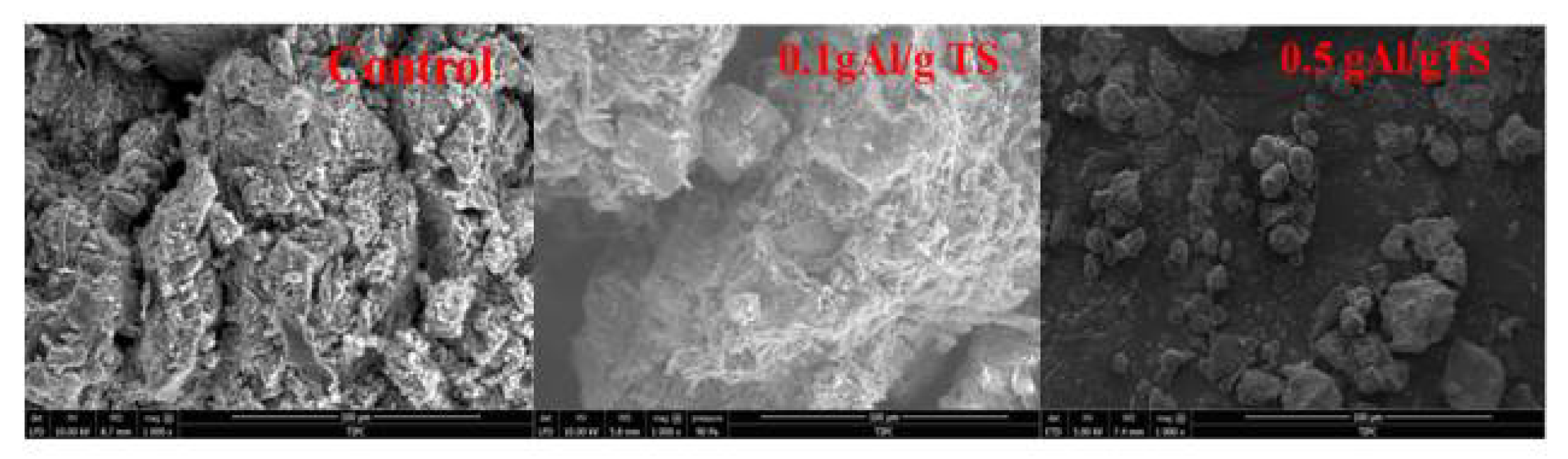 Ijerph 19 02806 g005 550