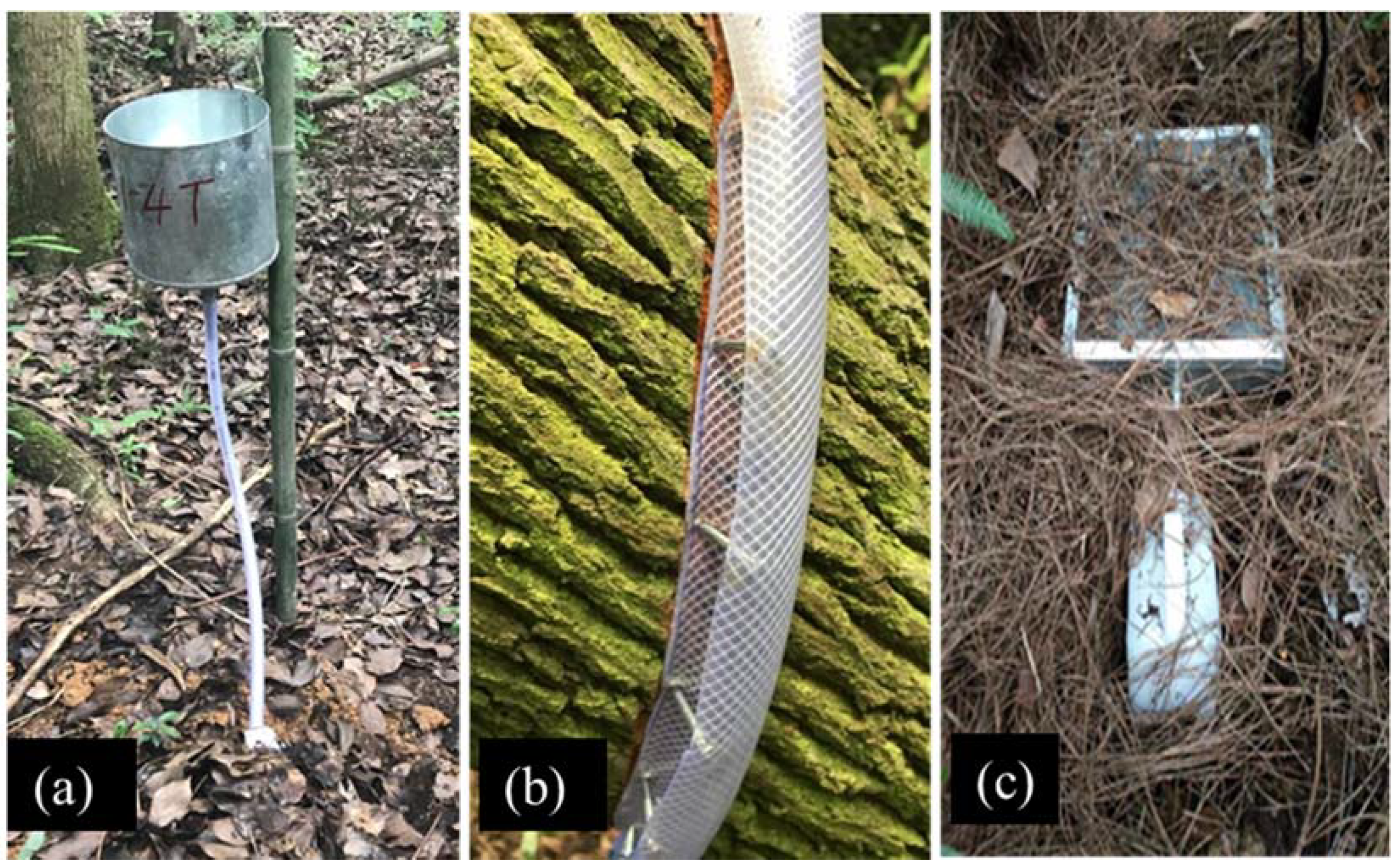 Ijerph 19 02810 g001