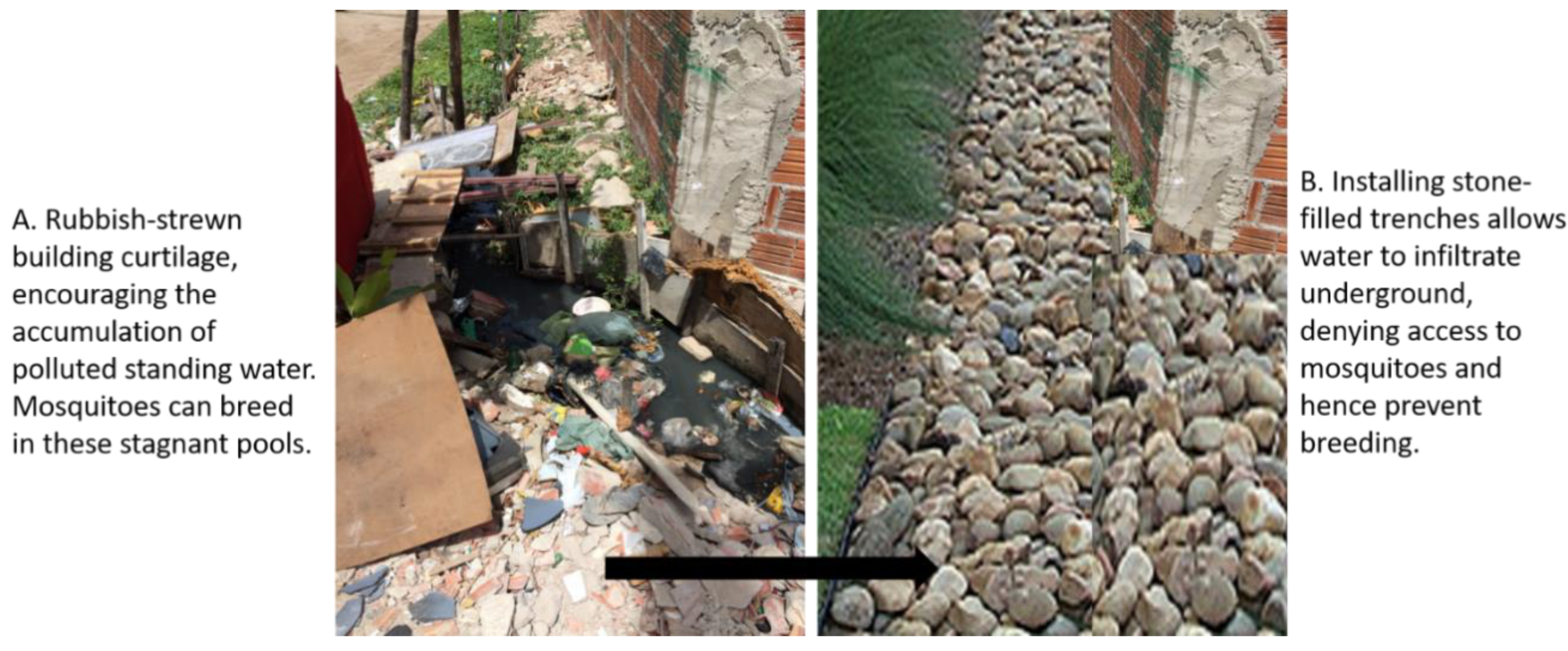 Ijerph 19 02860 g005